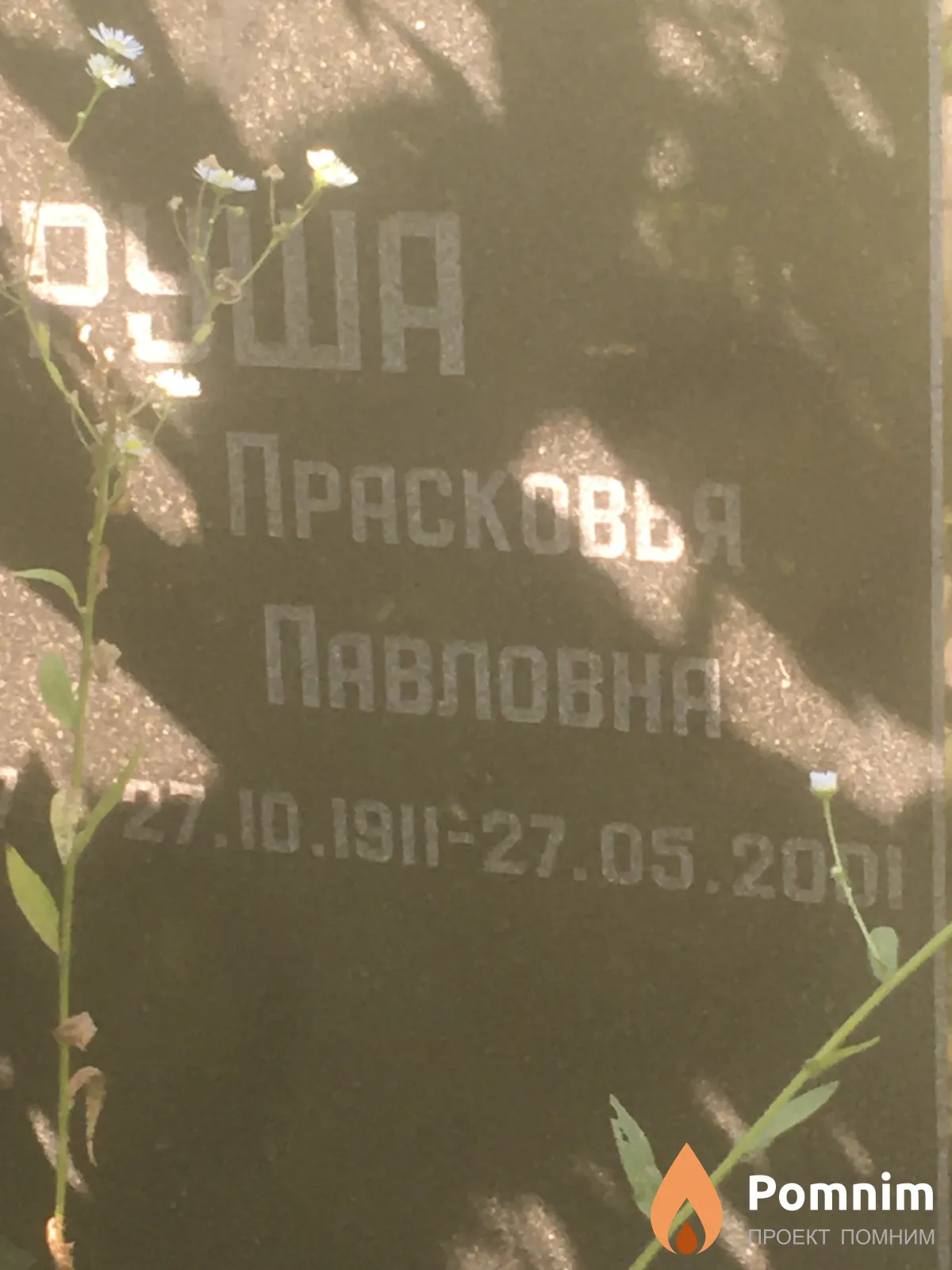 Петруша Прасковья Павловна