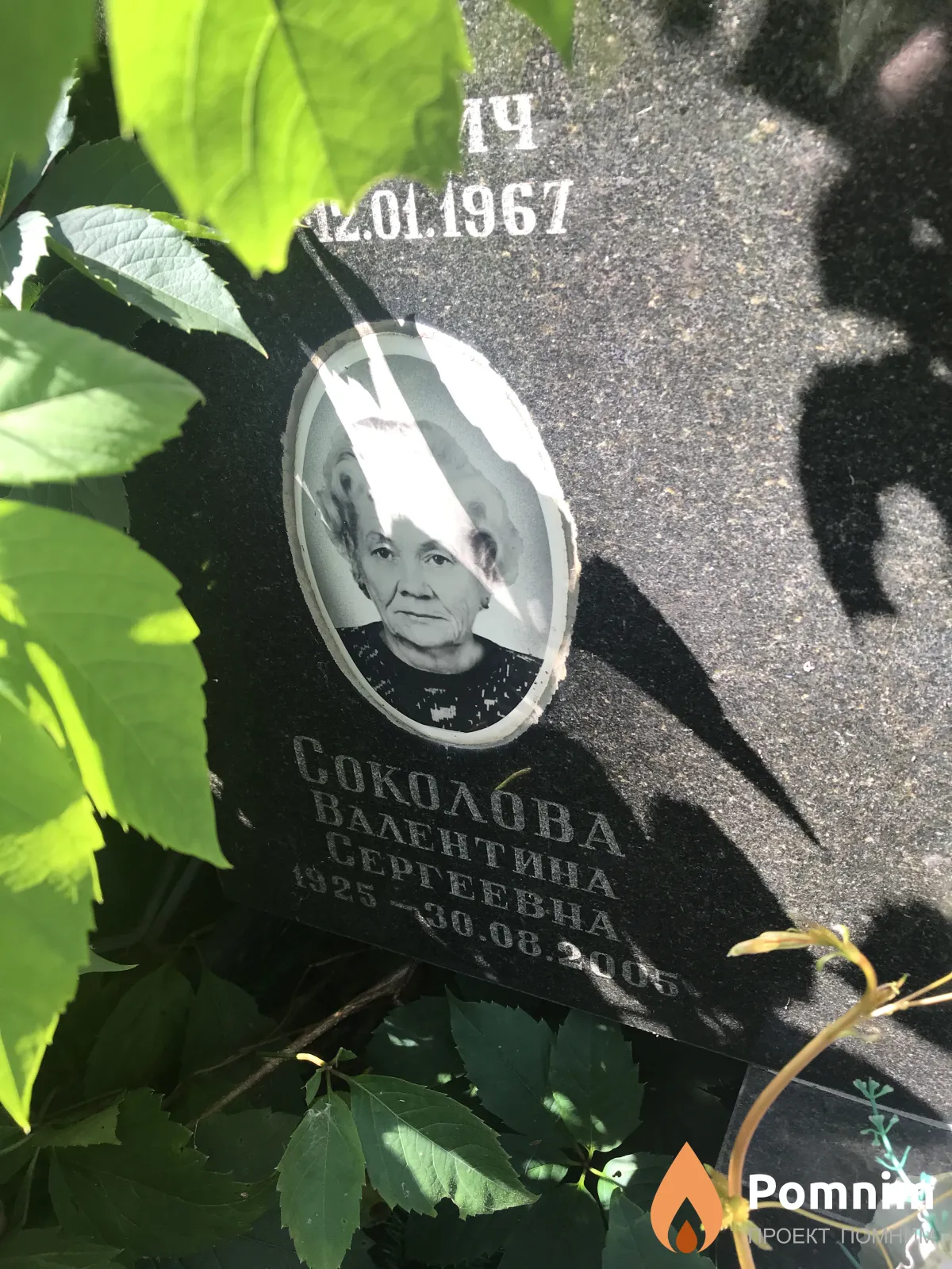 Сколова Валентина Сергеевна