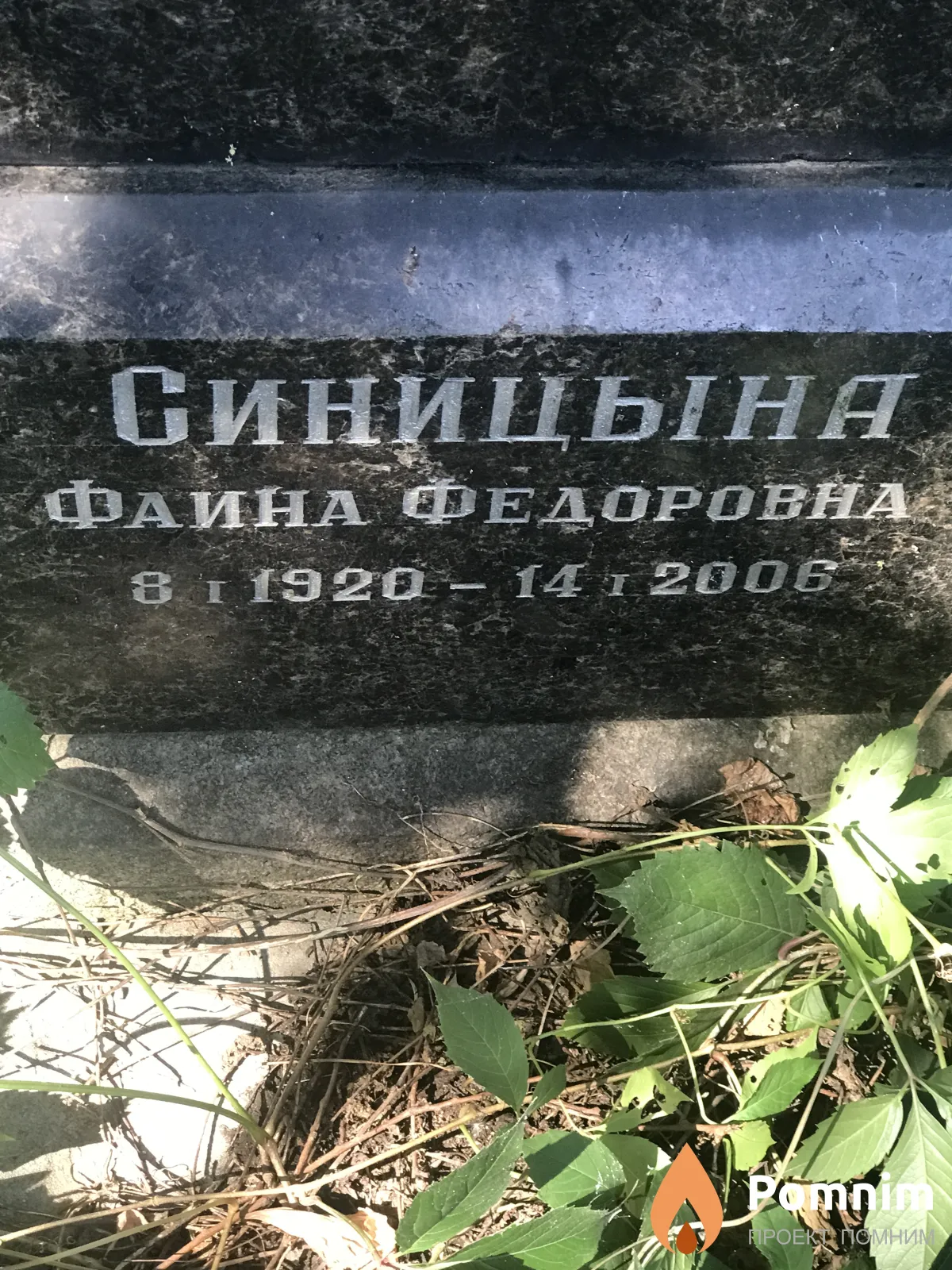 Синицына Раина Федоровна