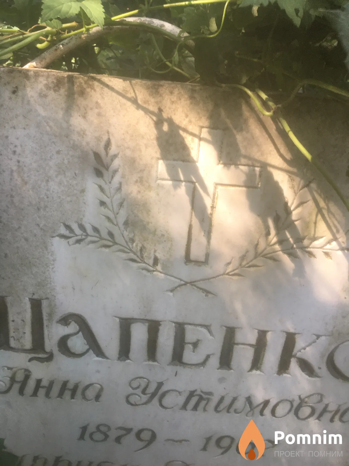 Цапенко Анна Устимовна