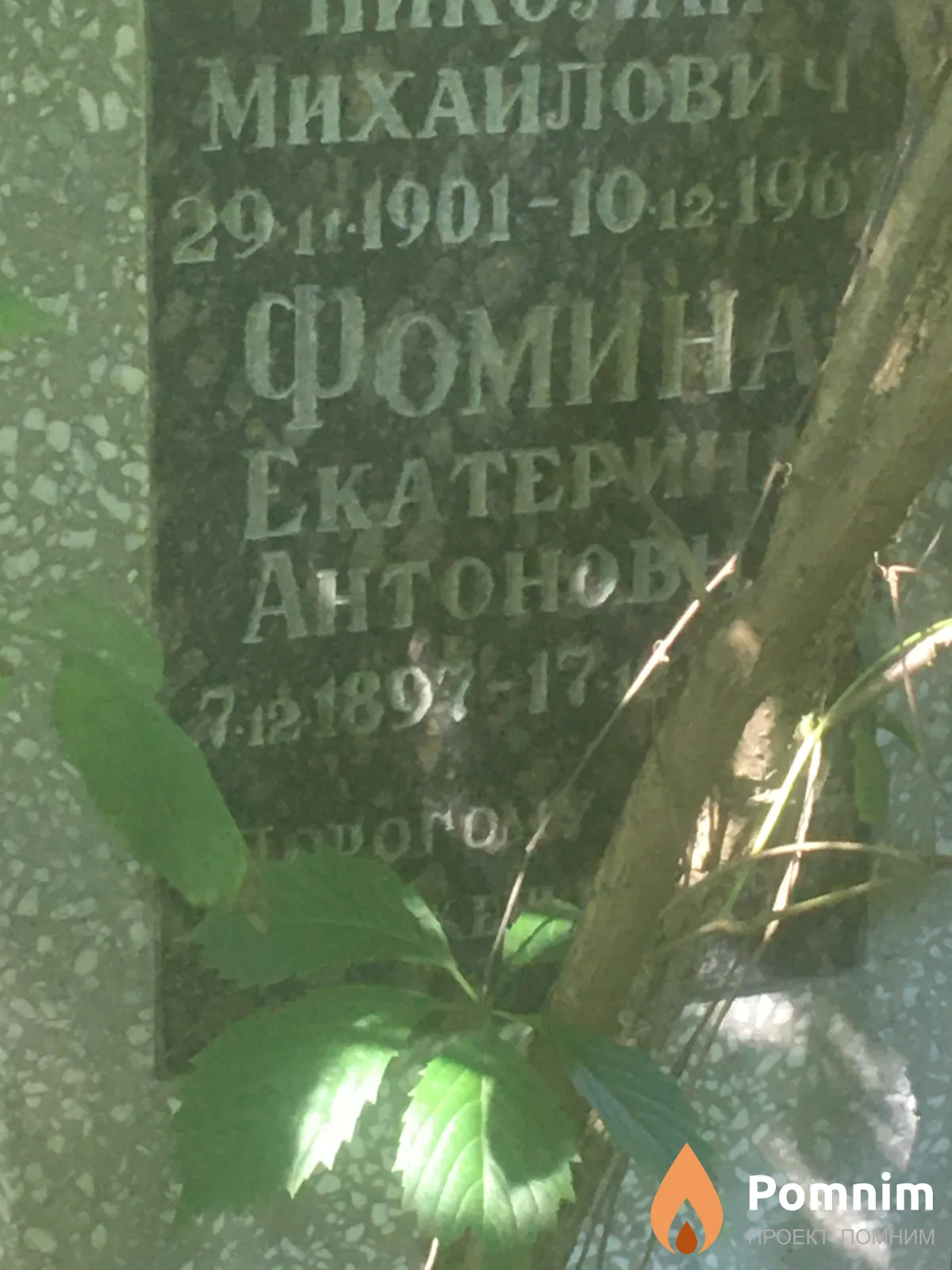 Фомина Екатерина Антоновна