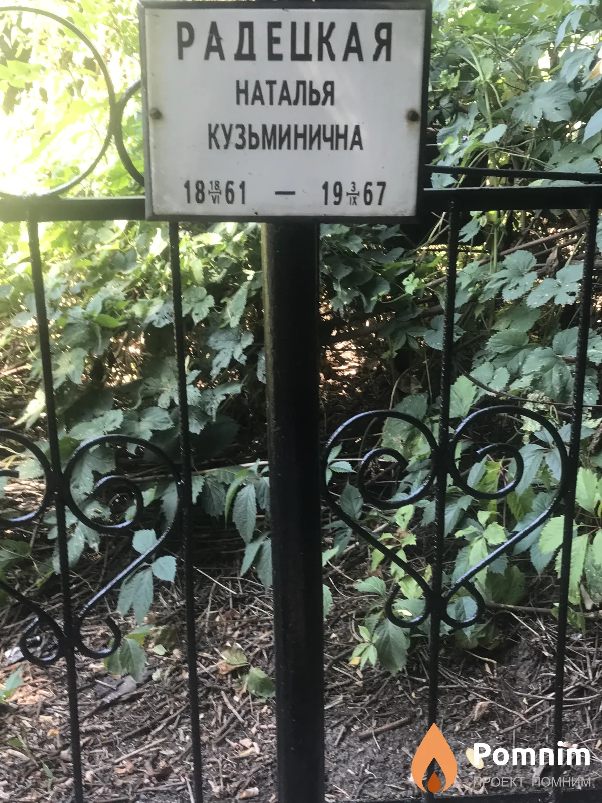 Радецкая Наталья Кузьминична