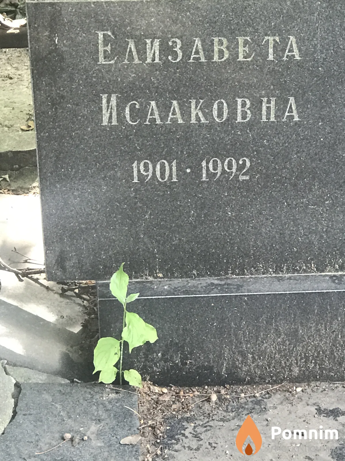 Кирпичникова Елизавета Исааковна