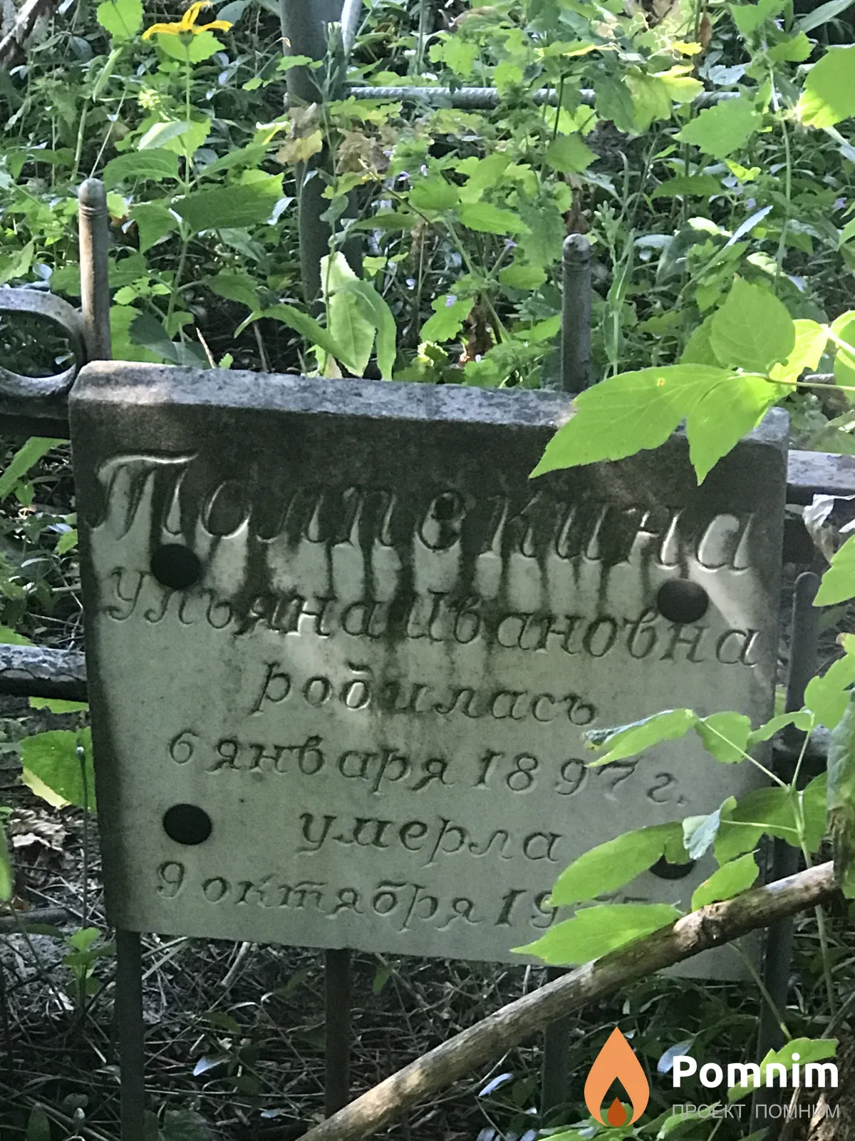 Толпекина Ульяна Ивановна