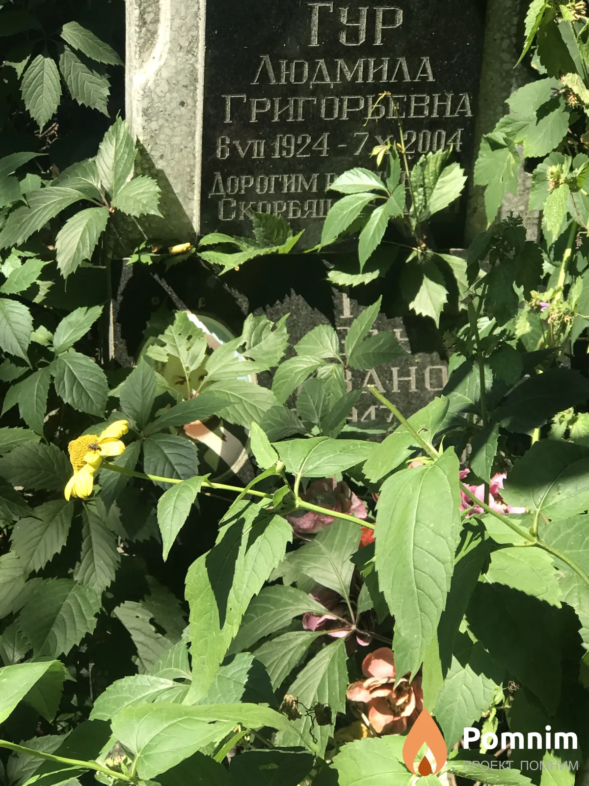 Гур Людмила Григорьевна