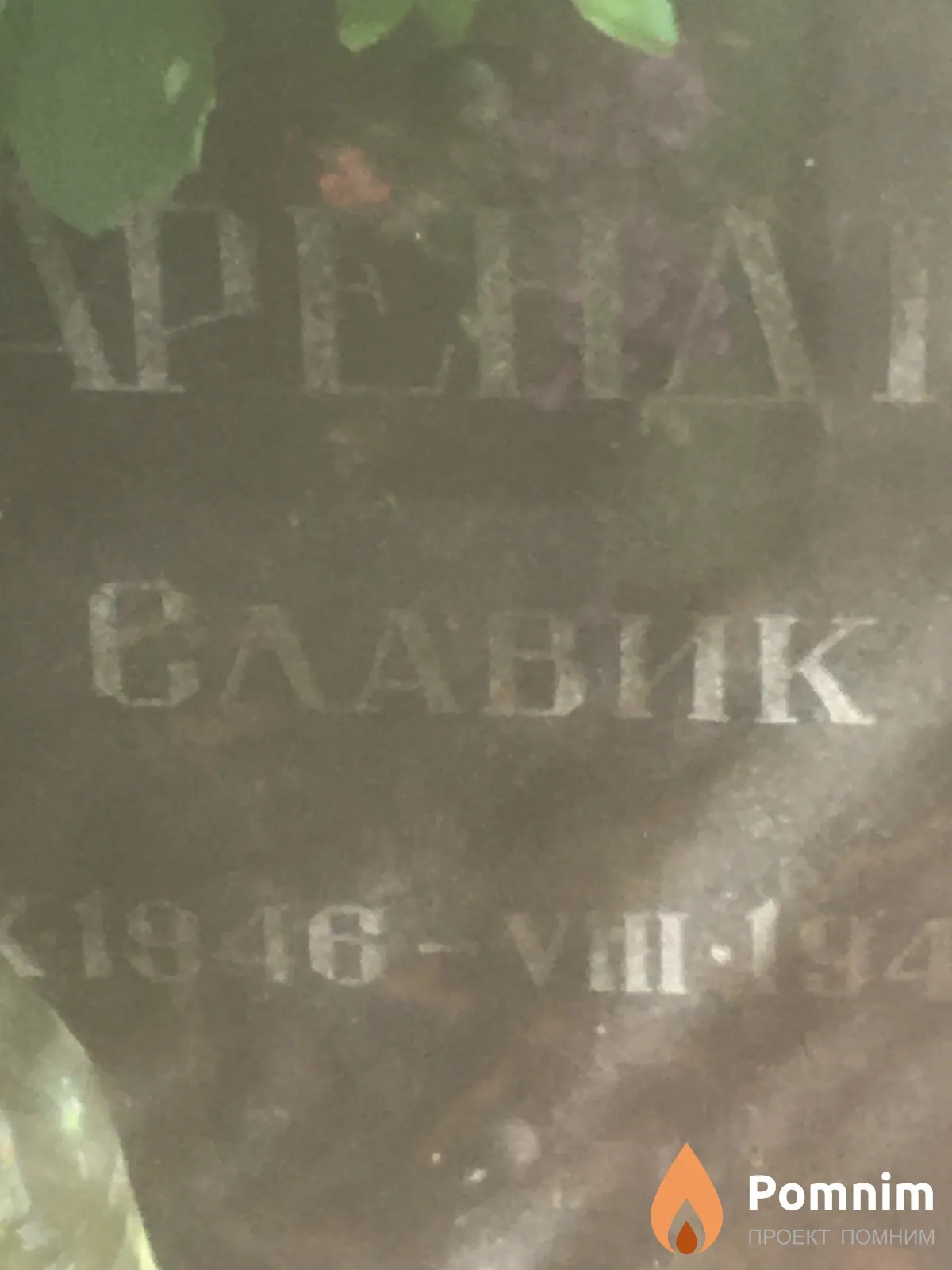 Арендт Славик