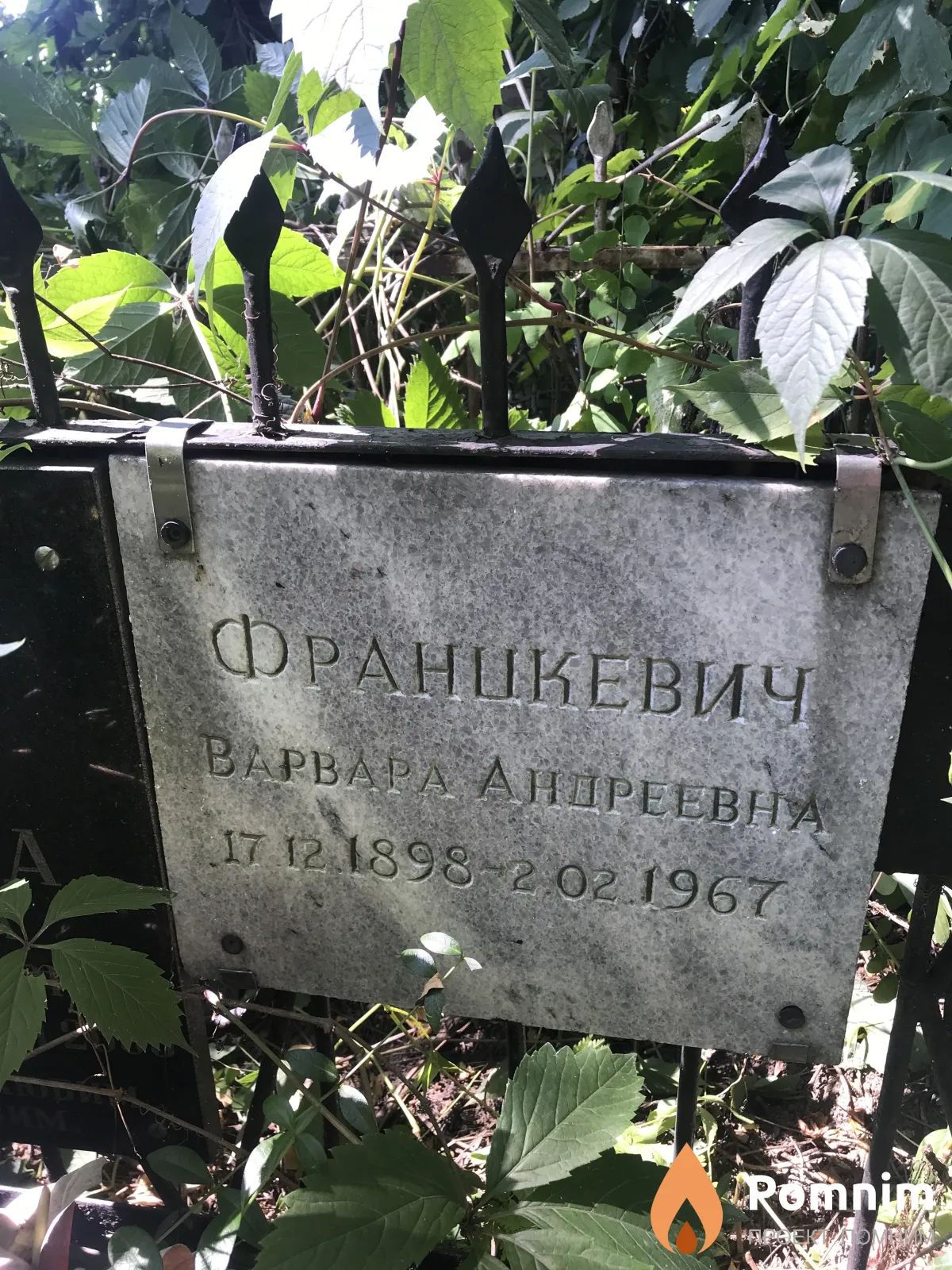 Франкевич Варвара Андреевна