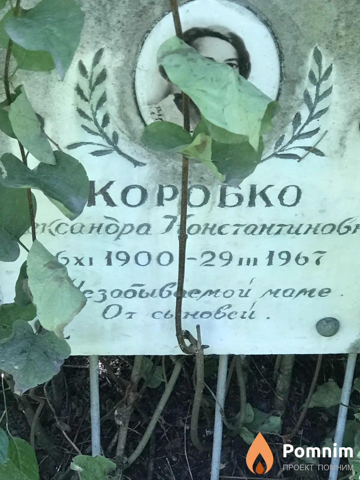Коробко Александра Константиновна