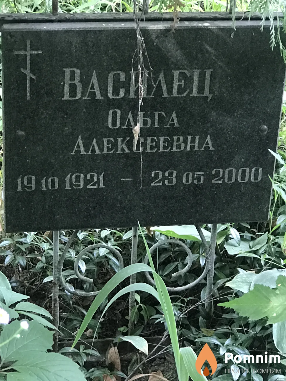 Василец Ольга Алексеевна
