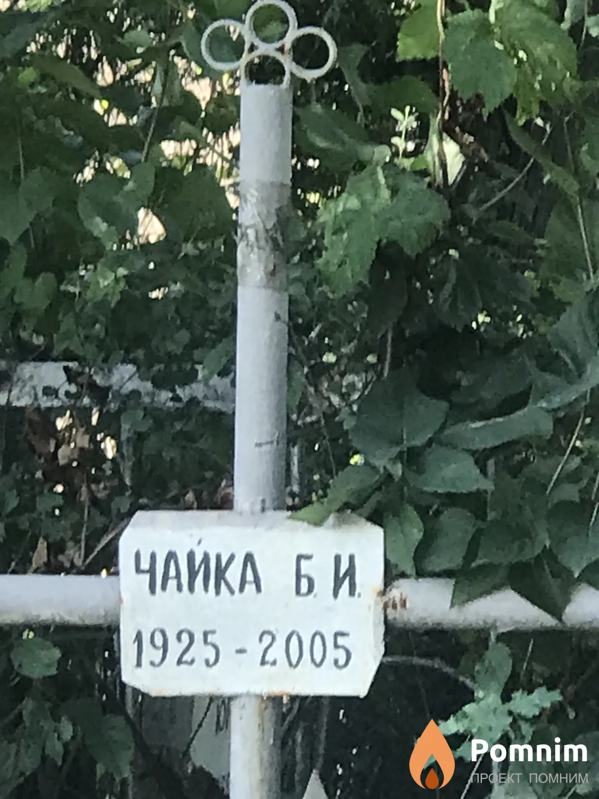 Чайка Б И