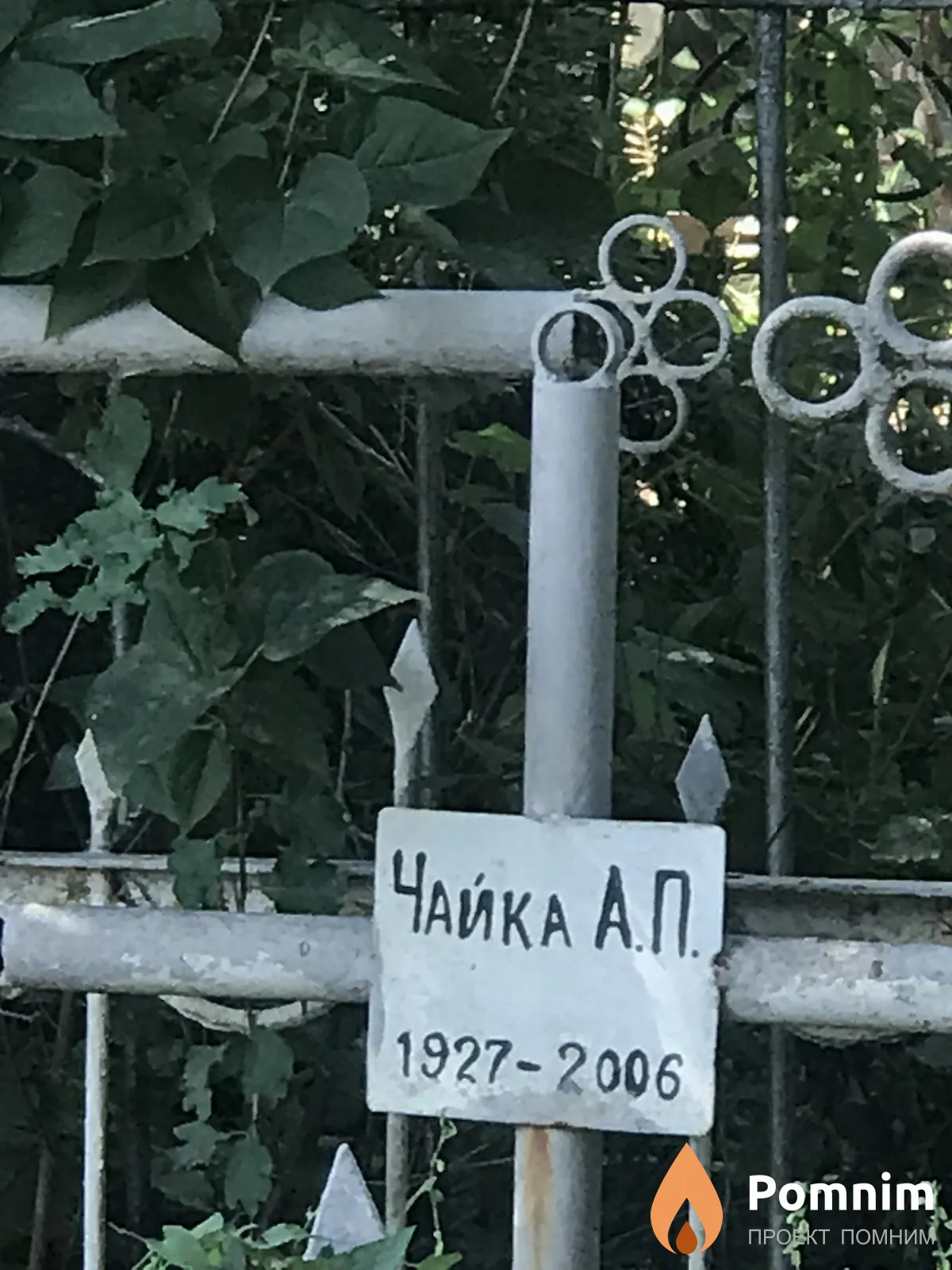 Чайка А П