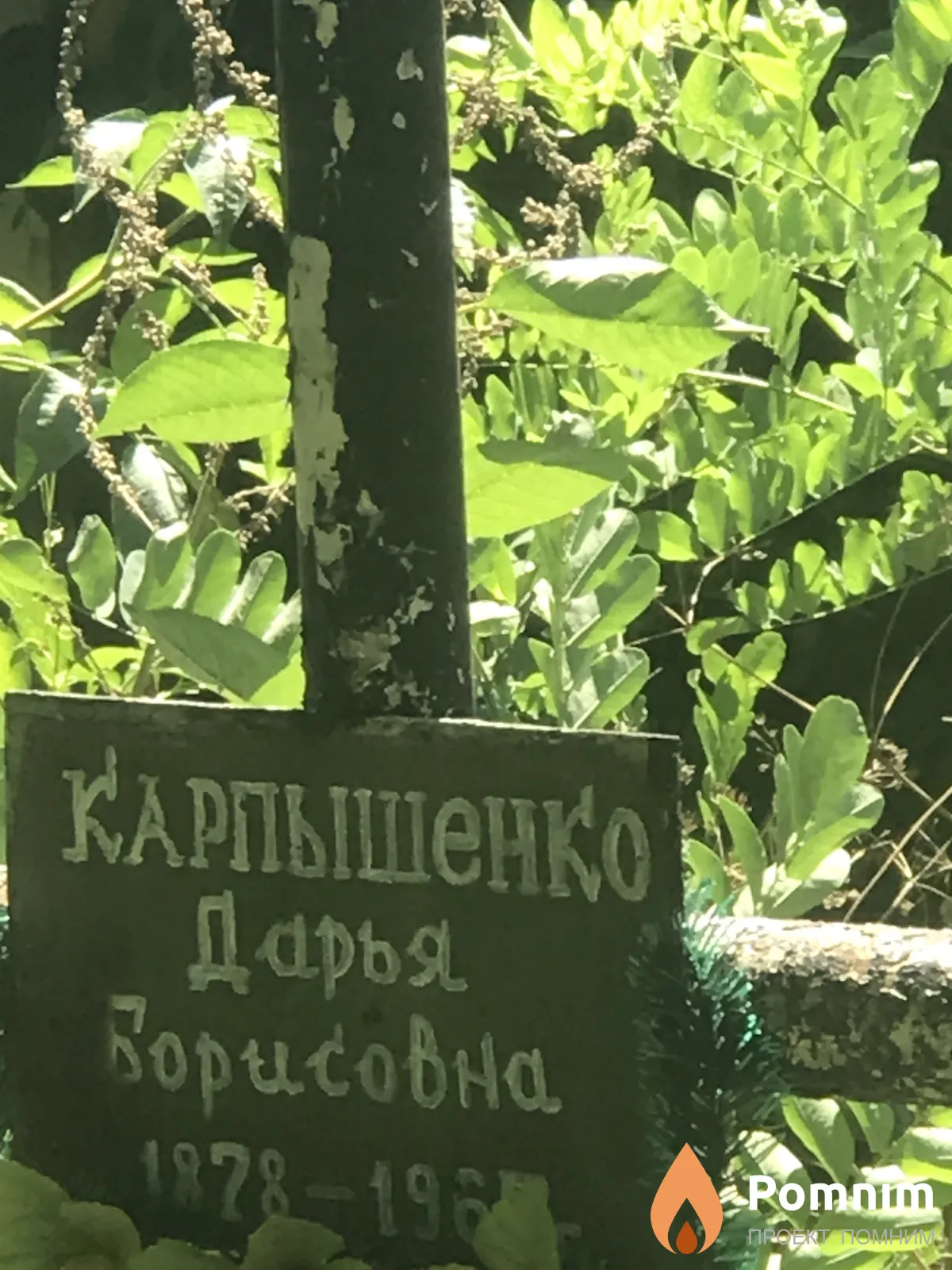 Карпышенко Дарья Корисовна