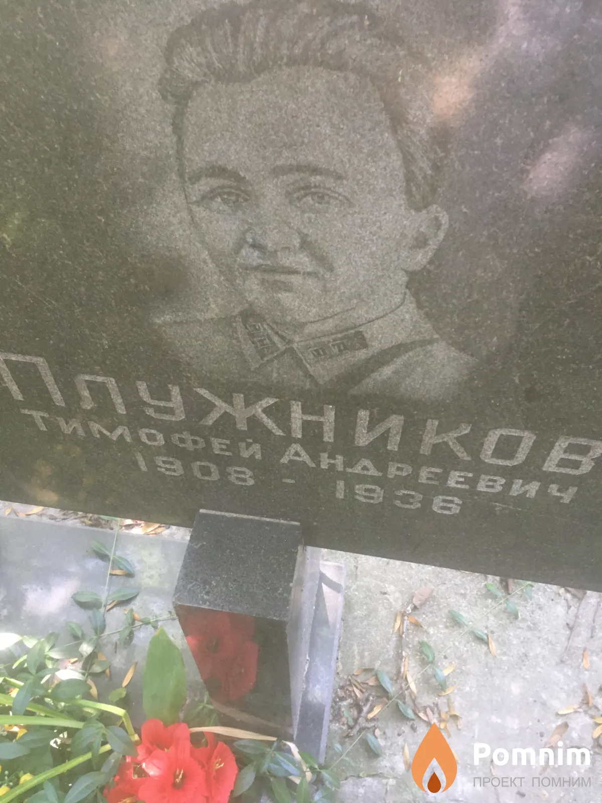 Плужников Тимофей Андреевич