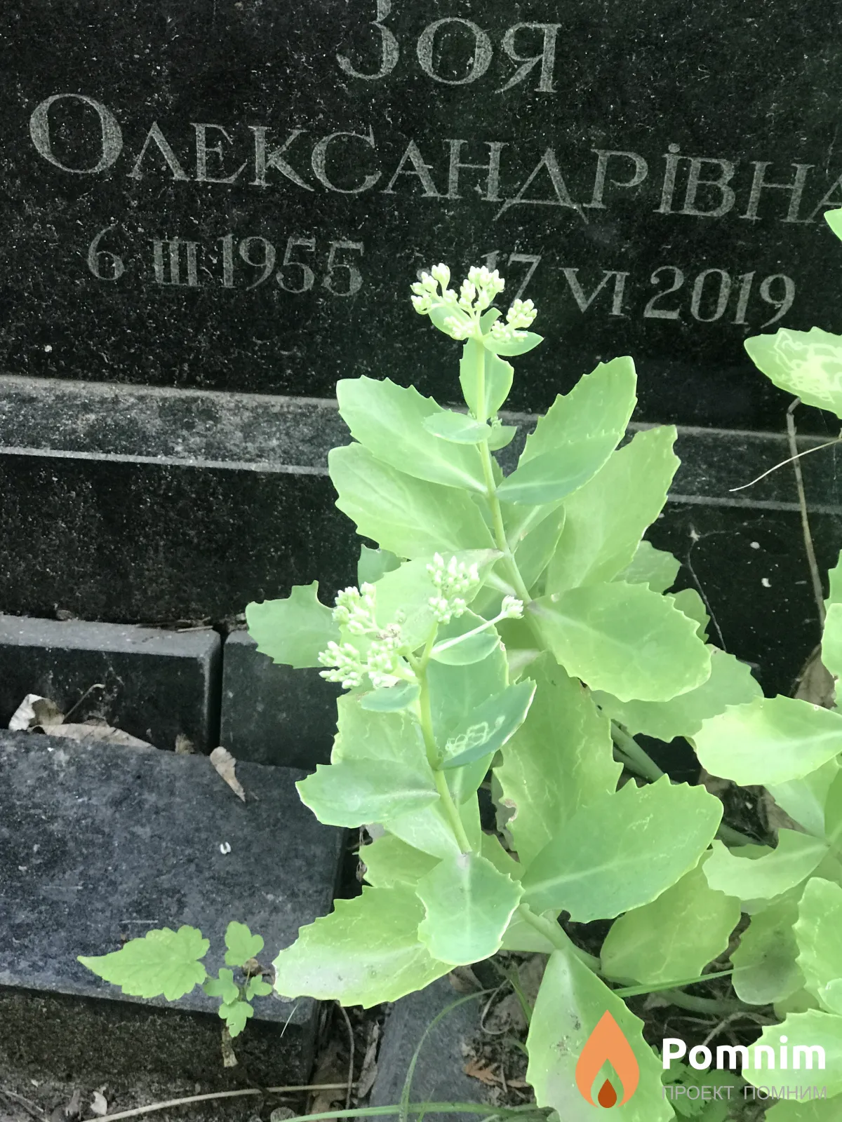 Окончук Зоя Олекснадровна