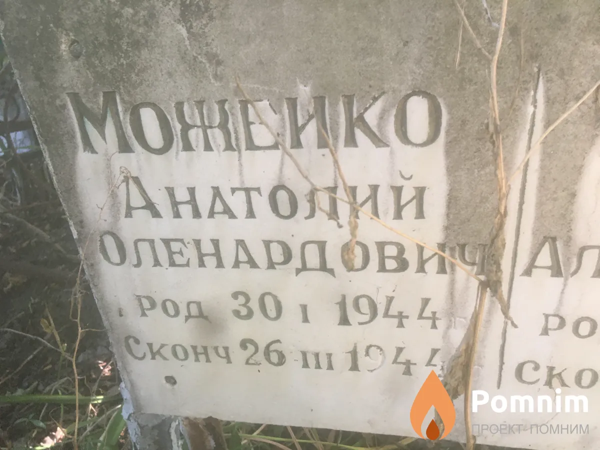 Можейко Анатолий Леонардович