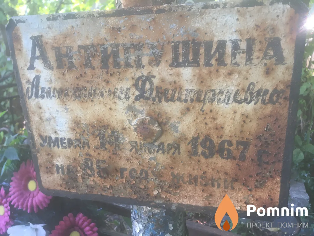 Антипушина Анастасия Дмитриевна