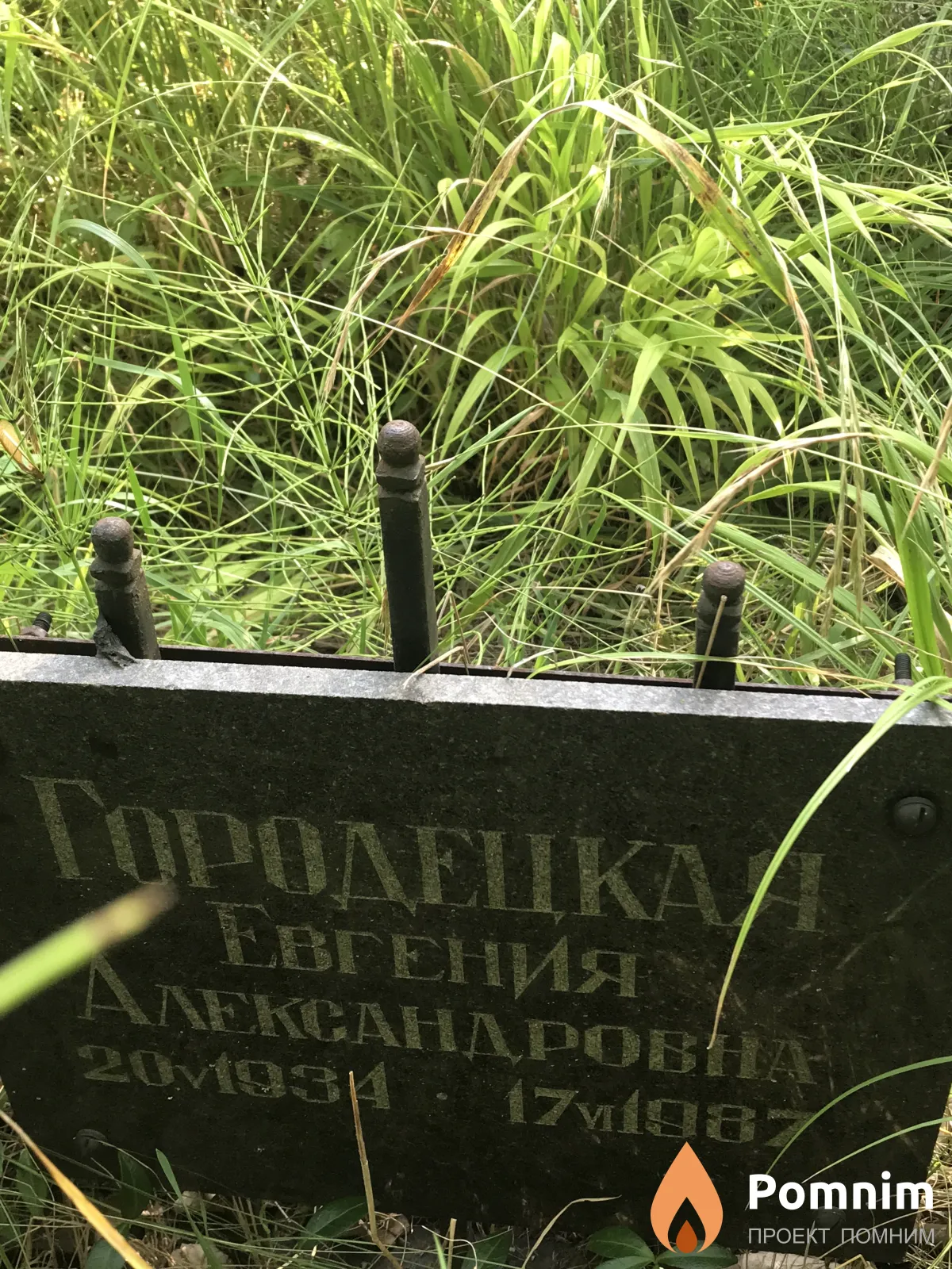 Γονειικ Евгения Anekcahapobha