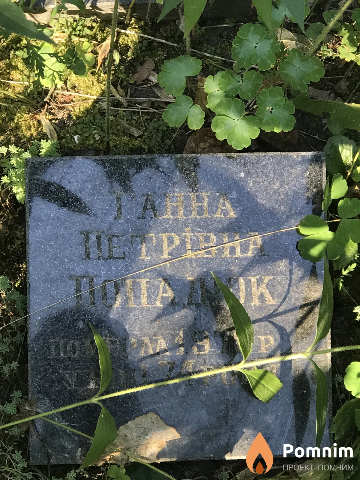 Попадюк Ганна Петровна