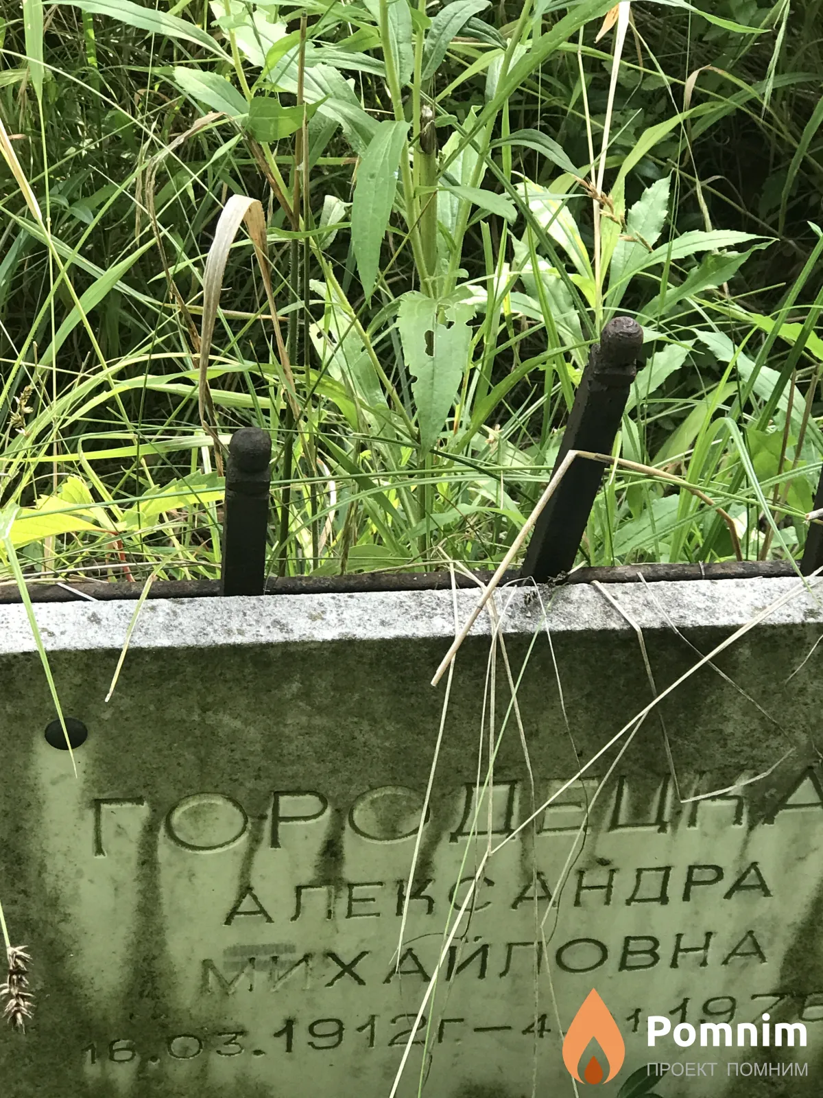Городецкая Александра Михайловна