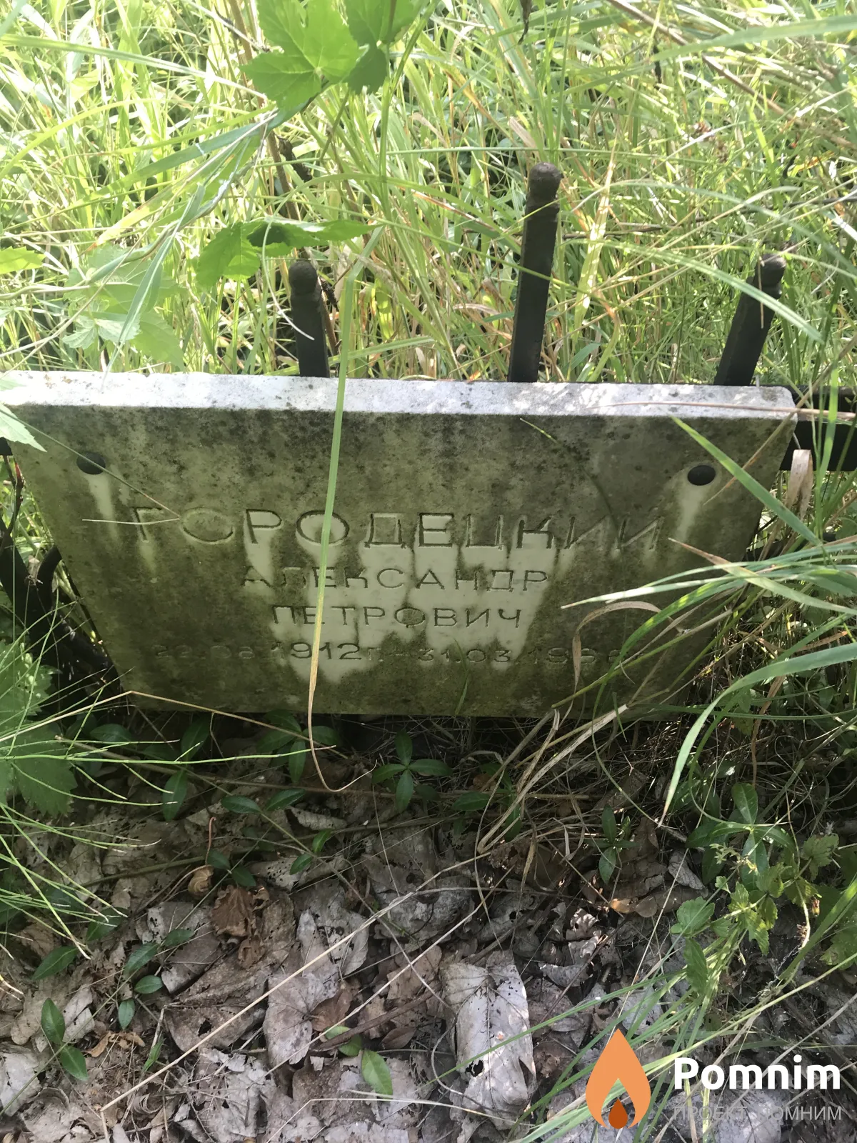 Городецкий Александр Петрович