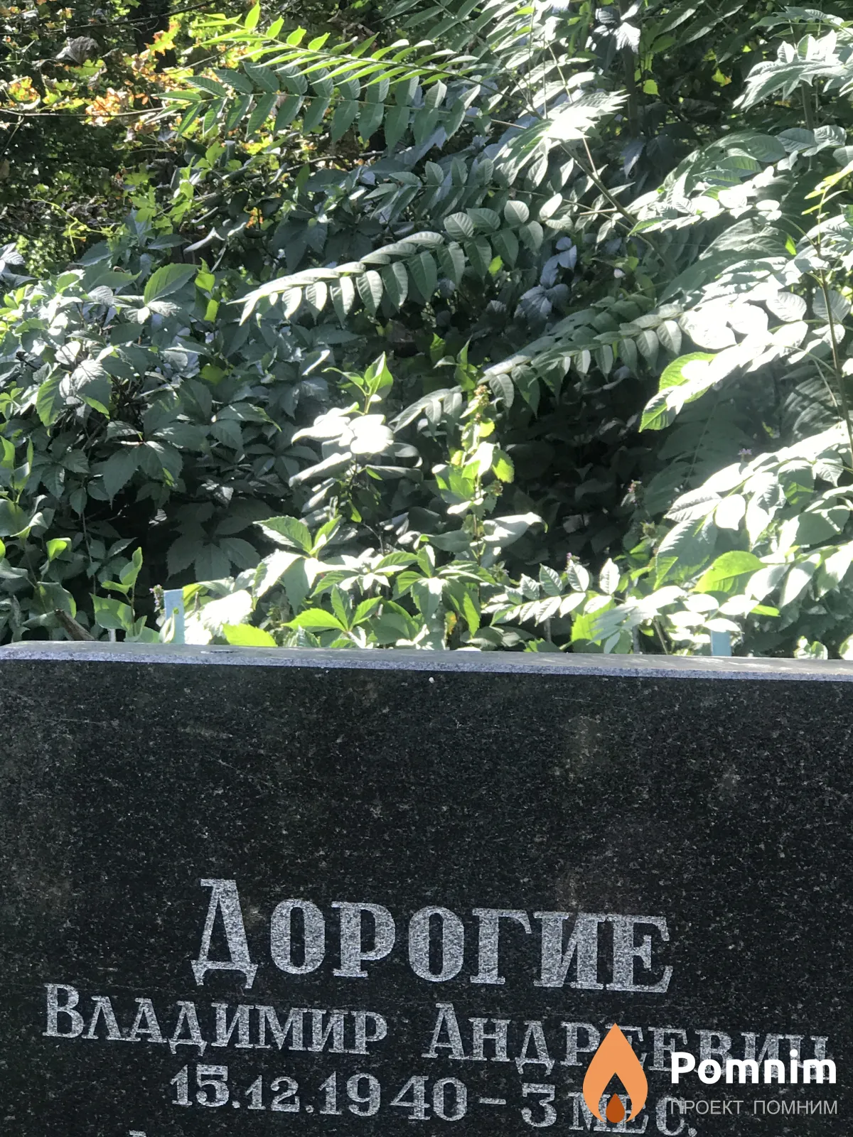 Дорогой Владимир Андреевич