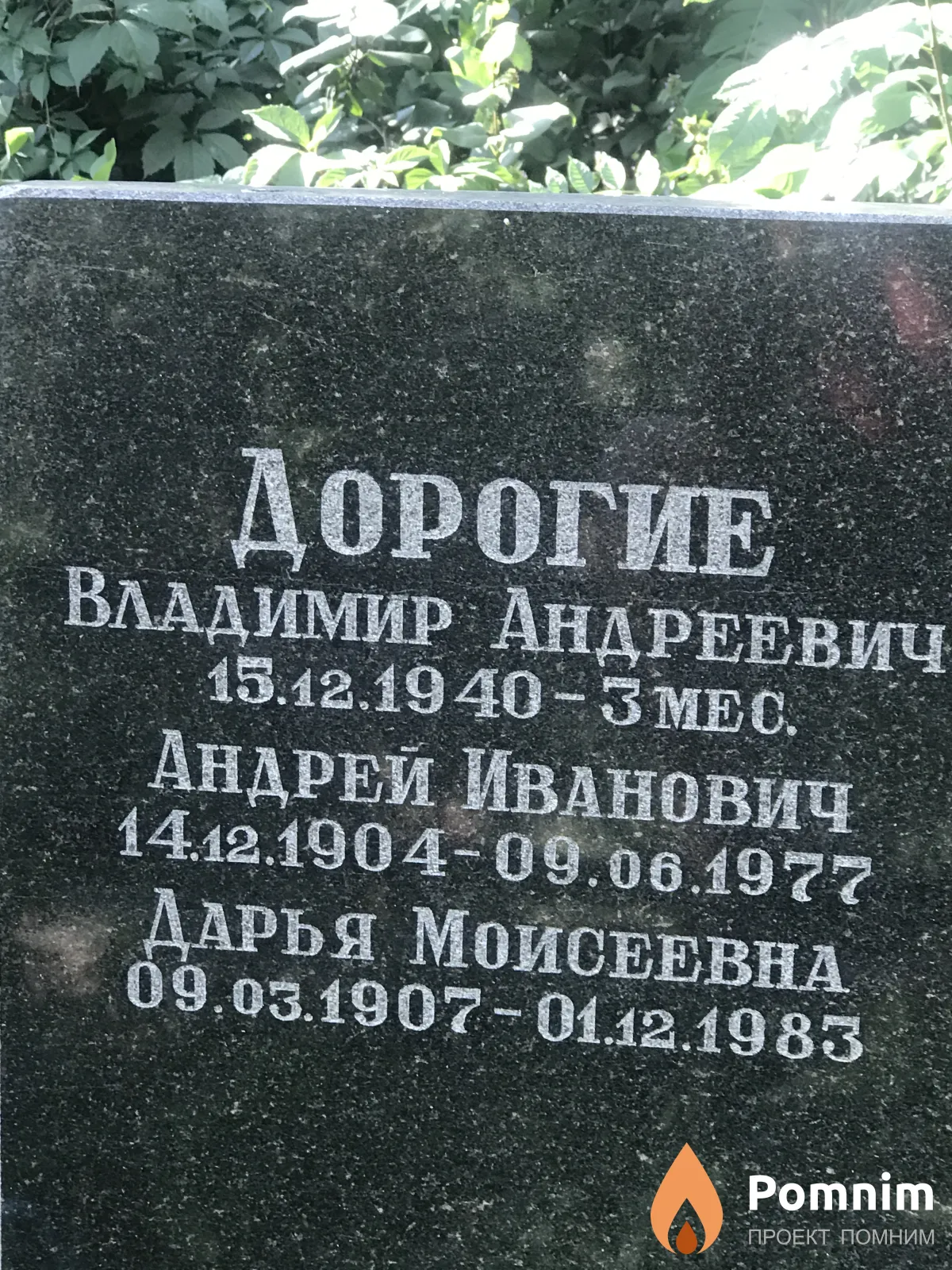 Дорогой Андрей Иванович