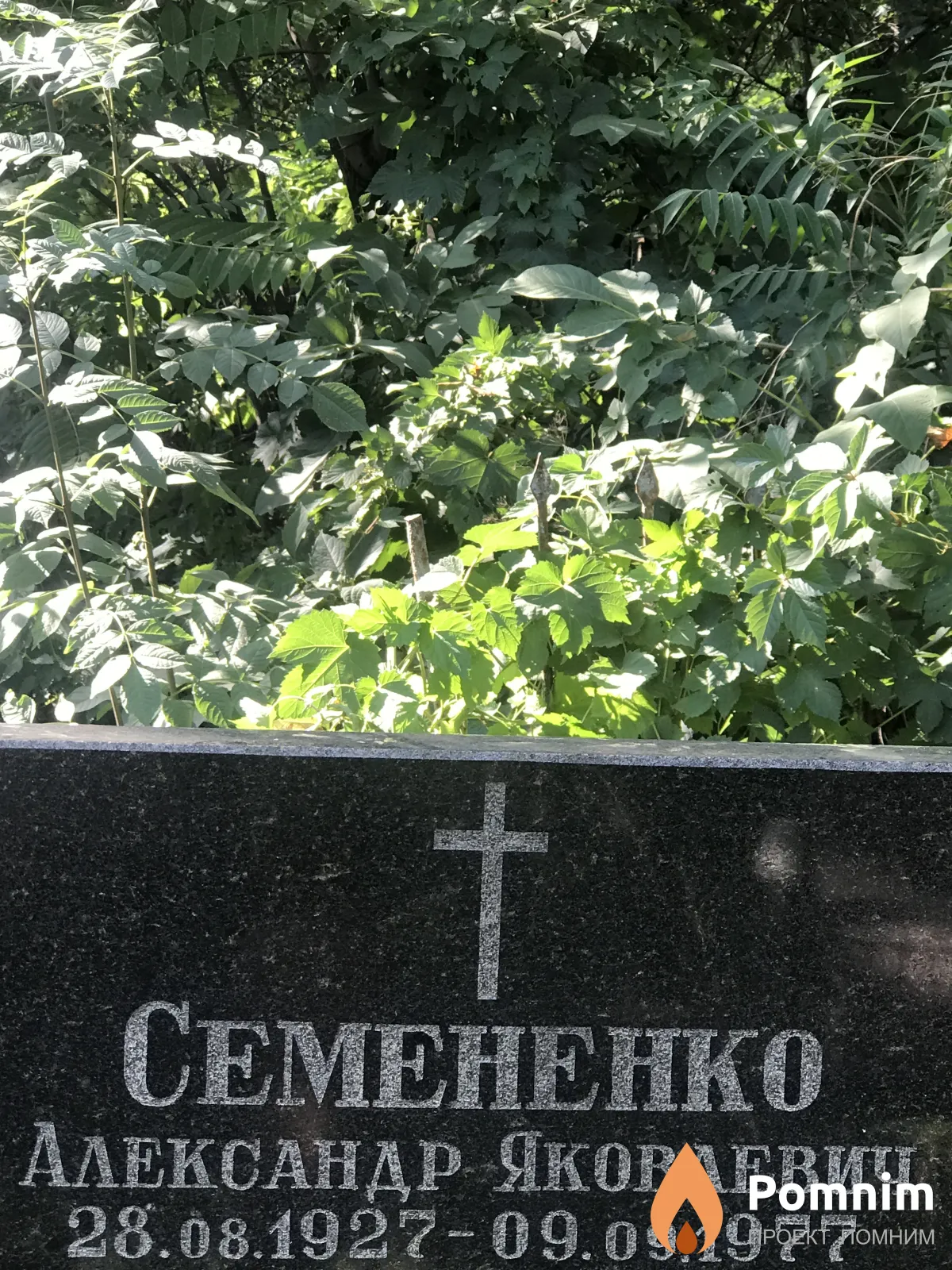 Семененко Александр Яковлевич