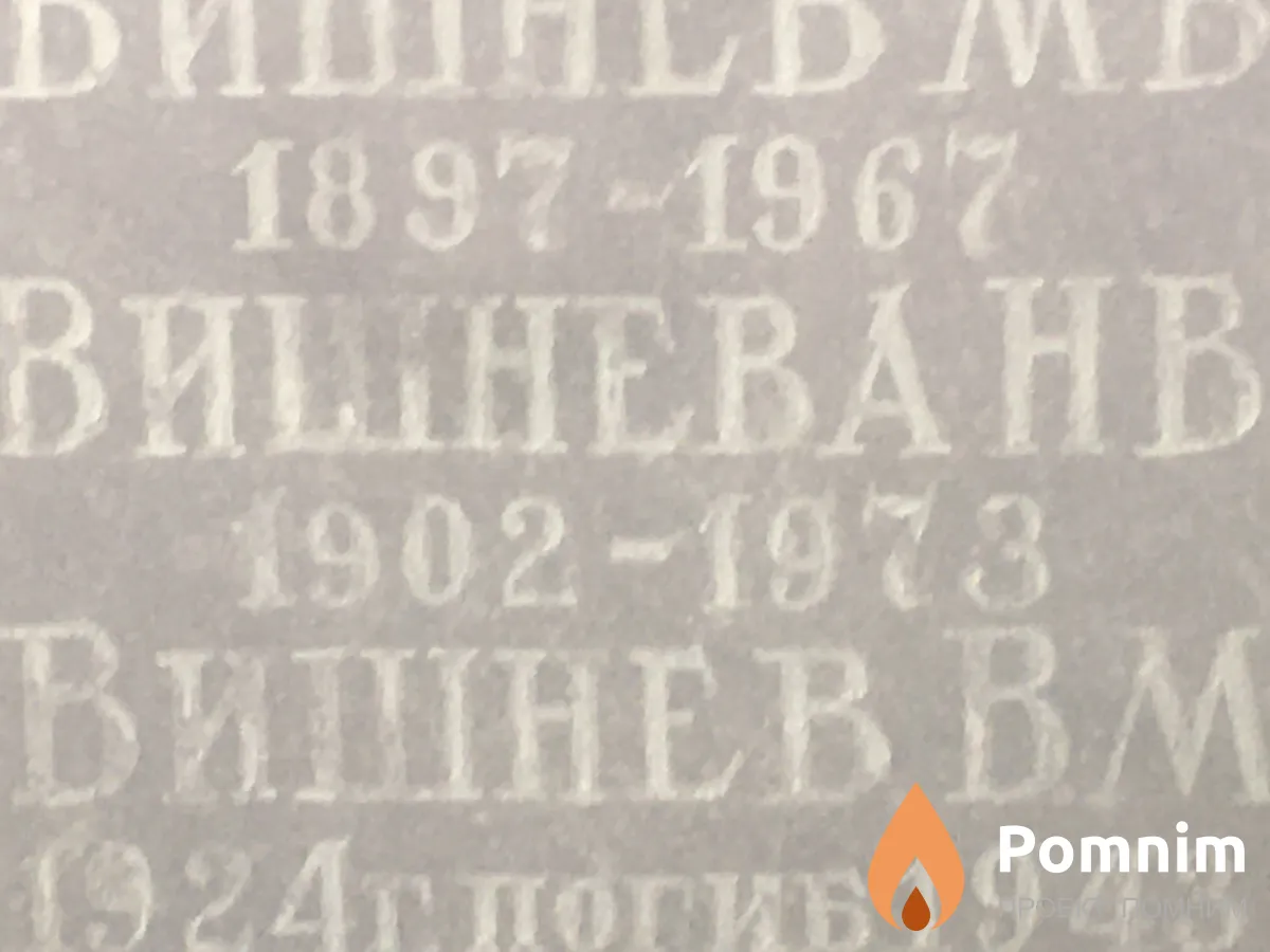 Вишнева Н В