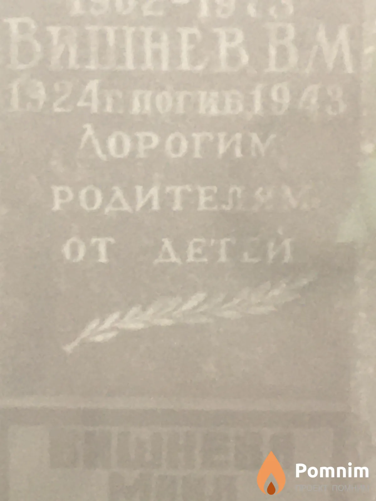 Вишнев В М