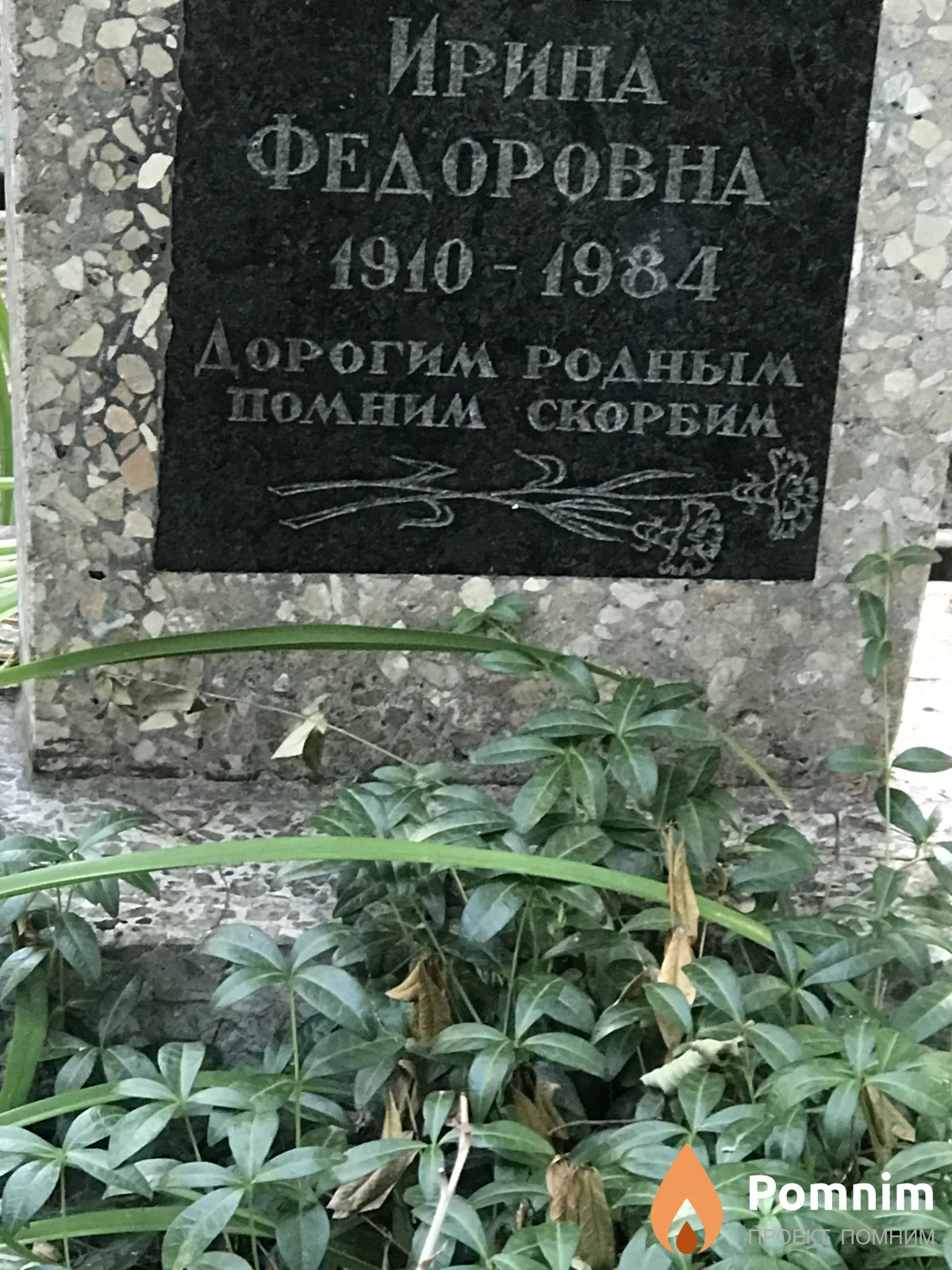Лебедь Ирина Фёдоровна