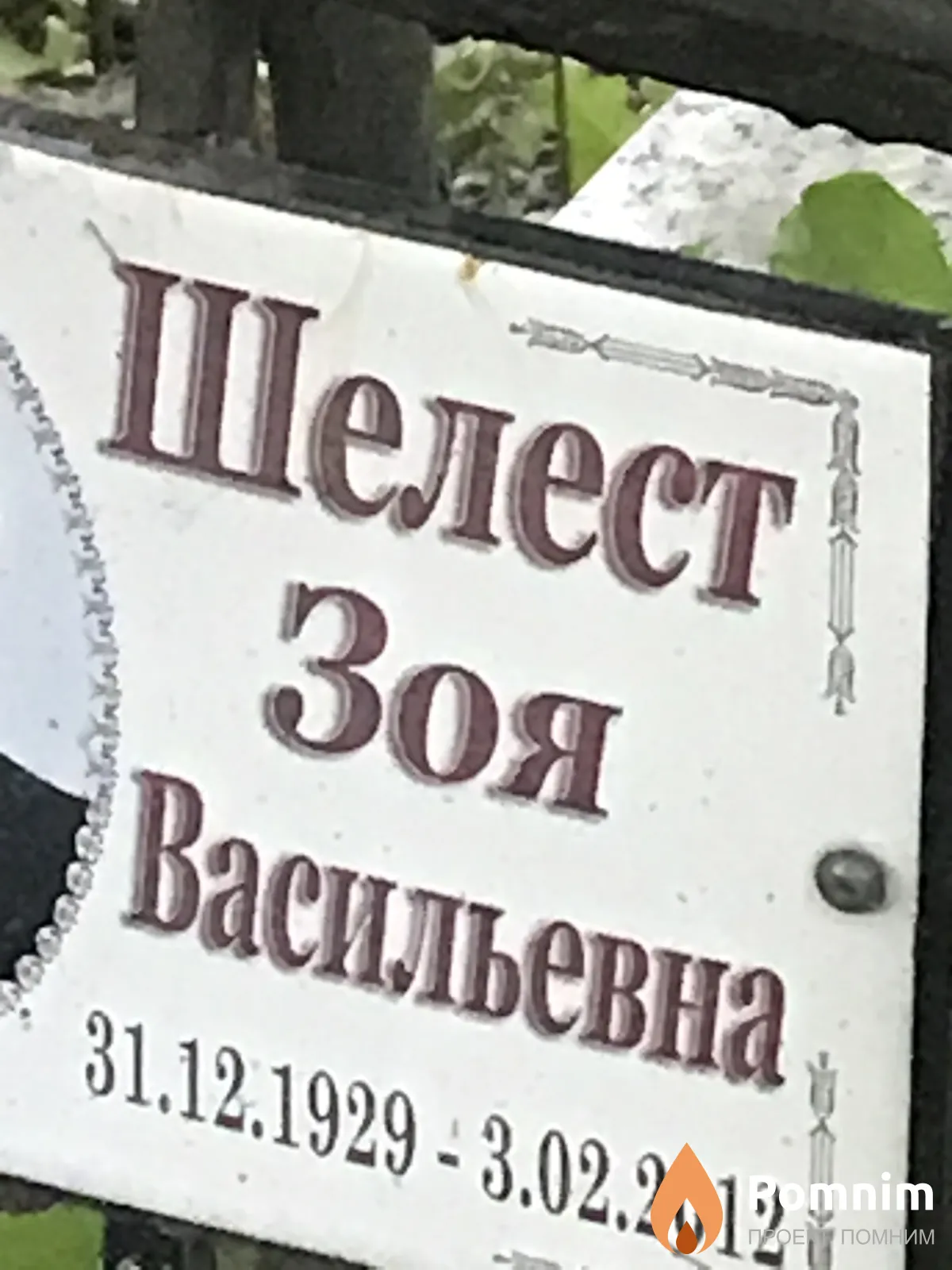 Шелест Зоя Васильевна