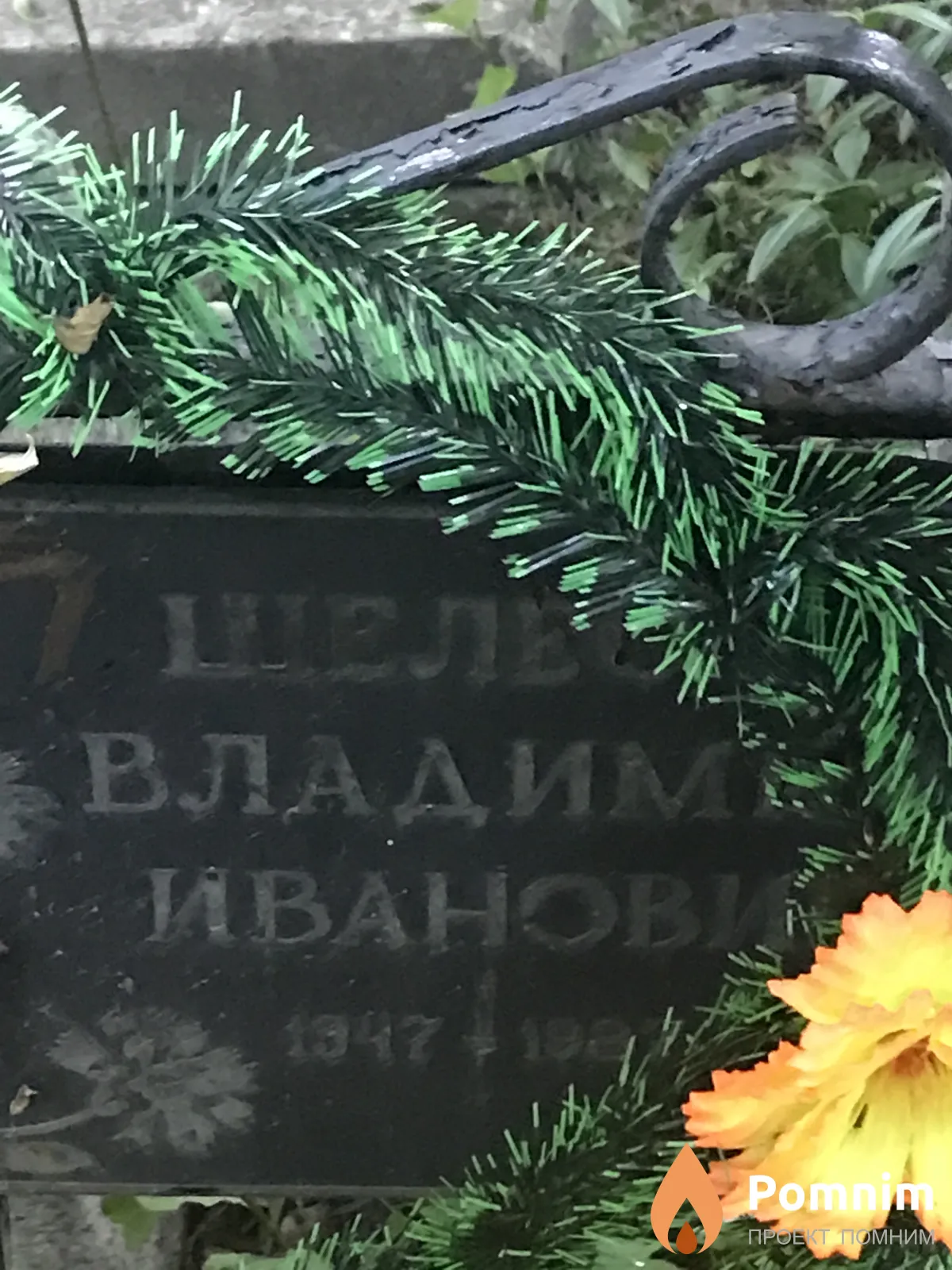 Шелест Владимир Иванова