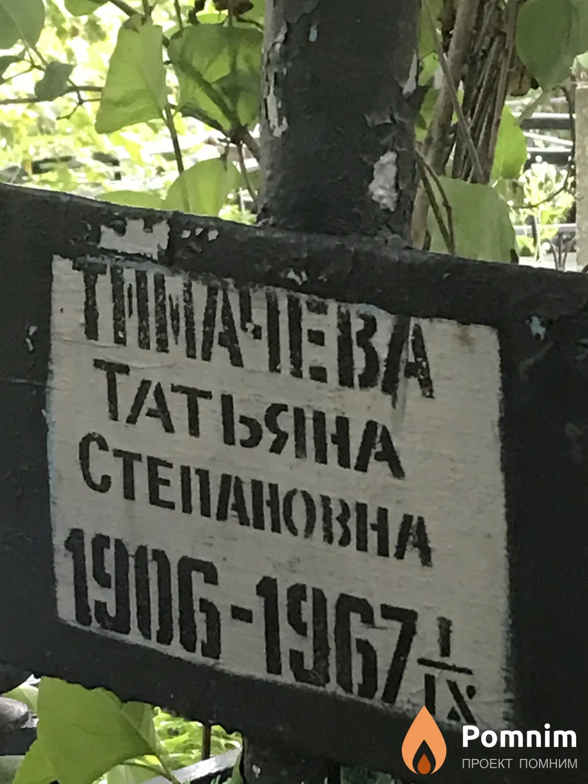 Тимачева Татьяна Степановна