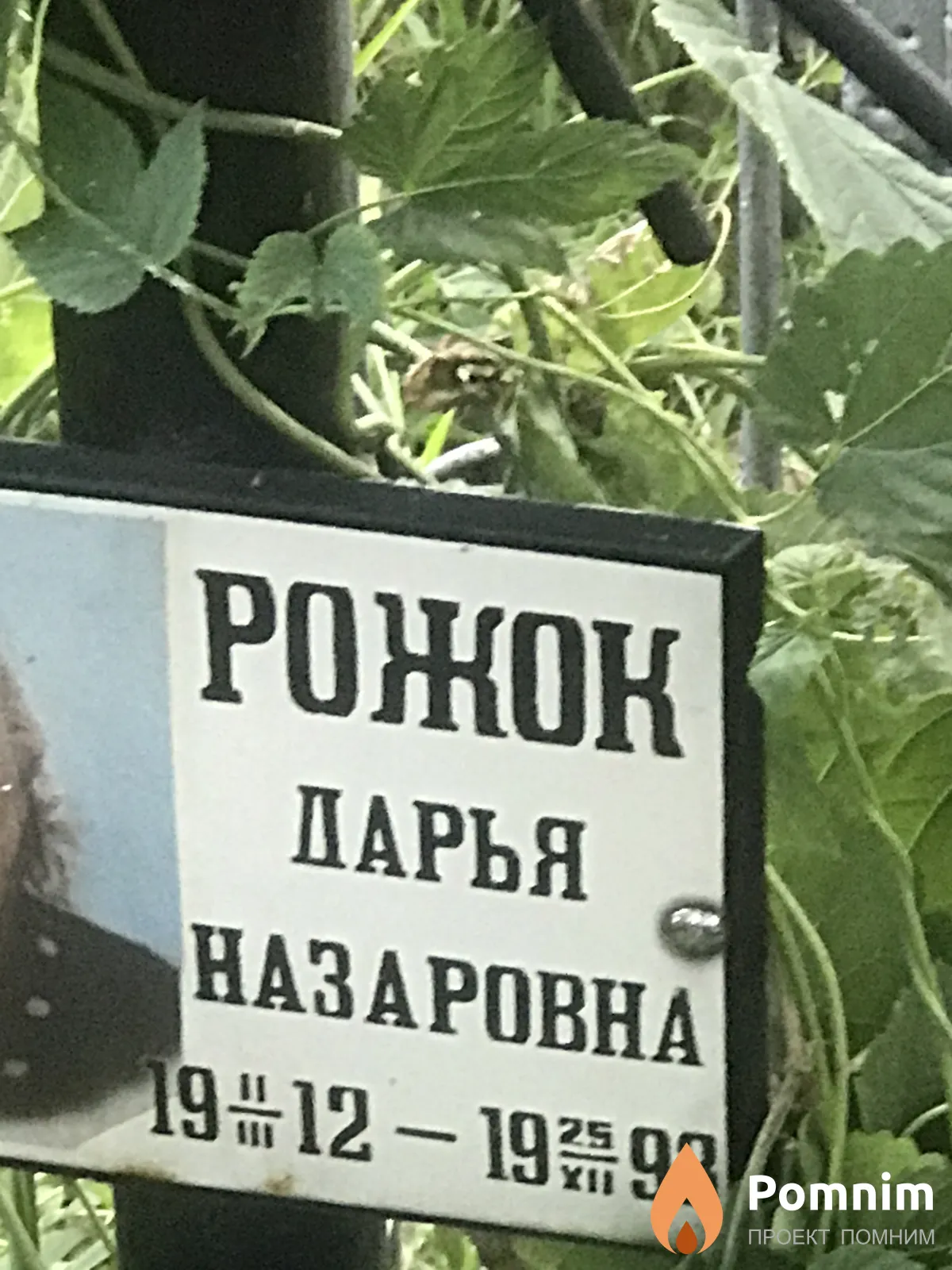 Рожок Дарья Назаровна