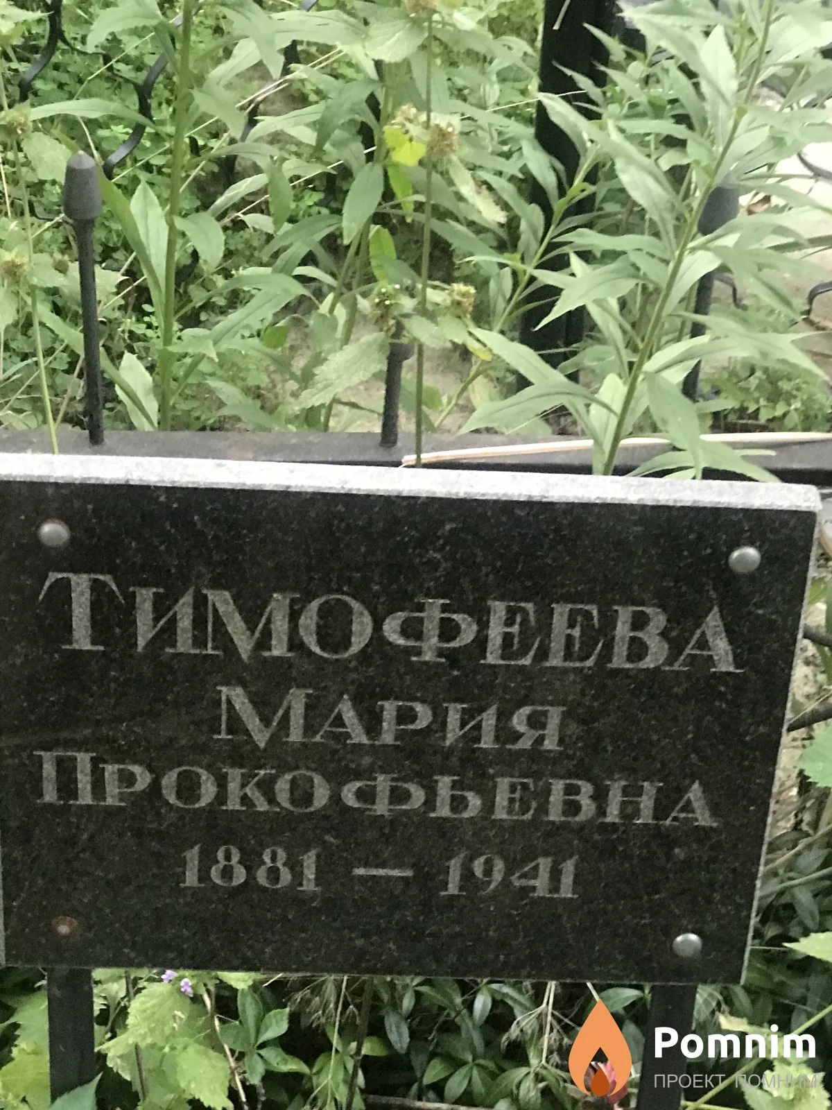Тимофеева Мария Прокофьевна