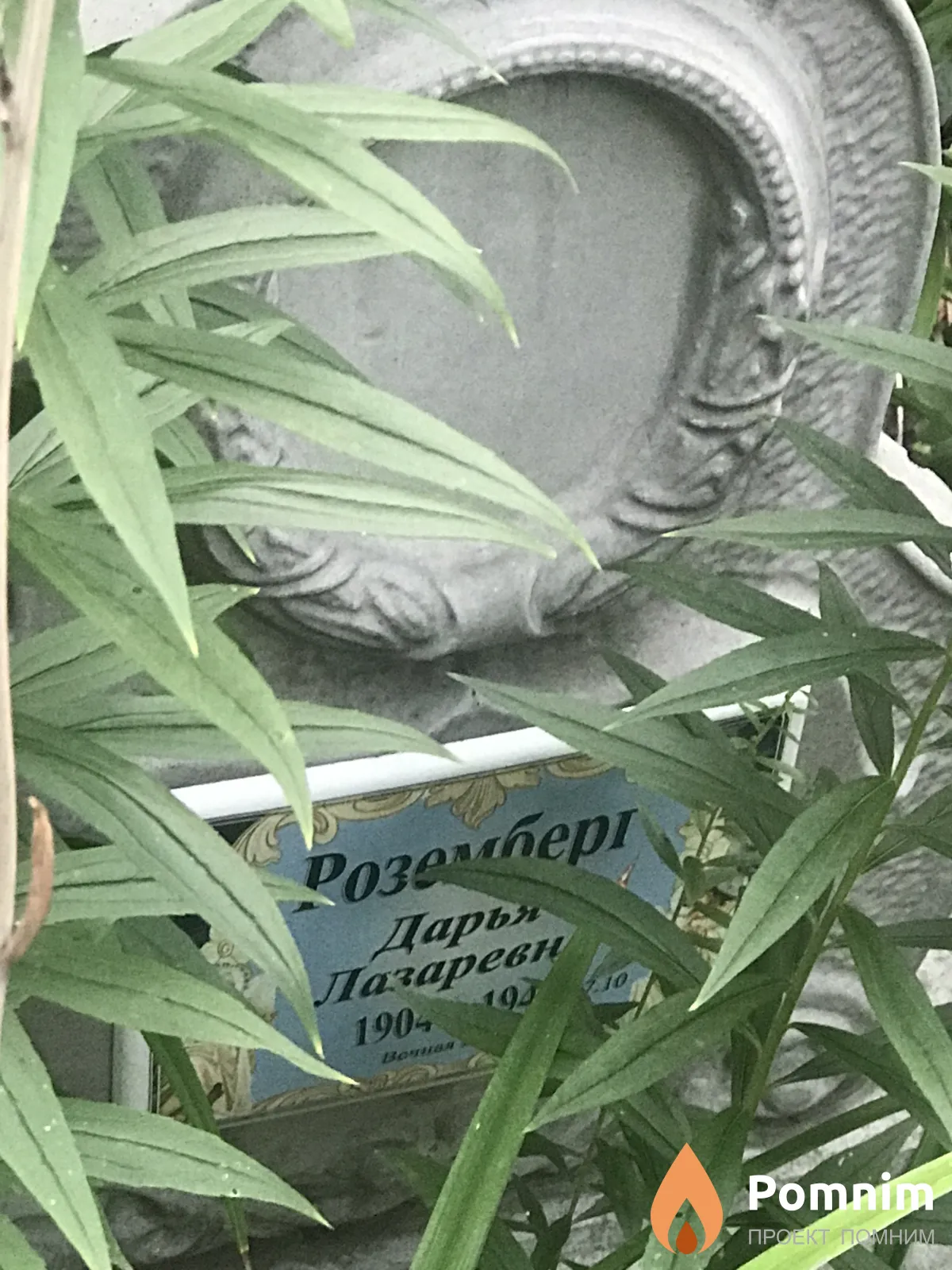 Розомберг Дарья Лазареви
