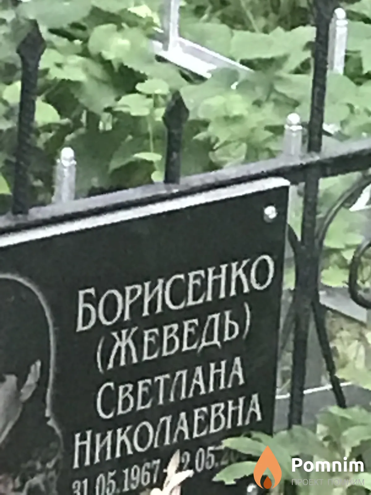 Борисенко Светлана Николавена