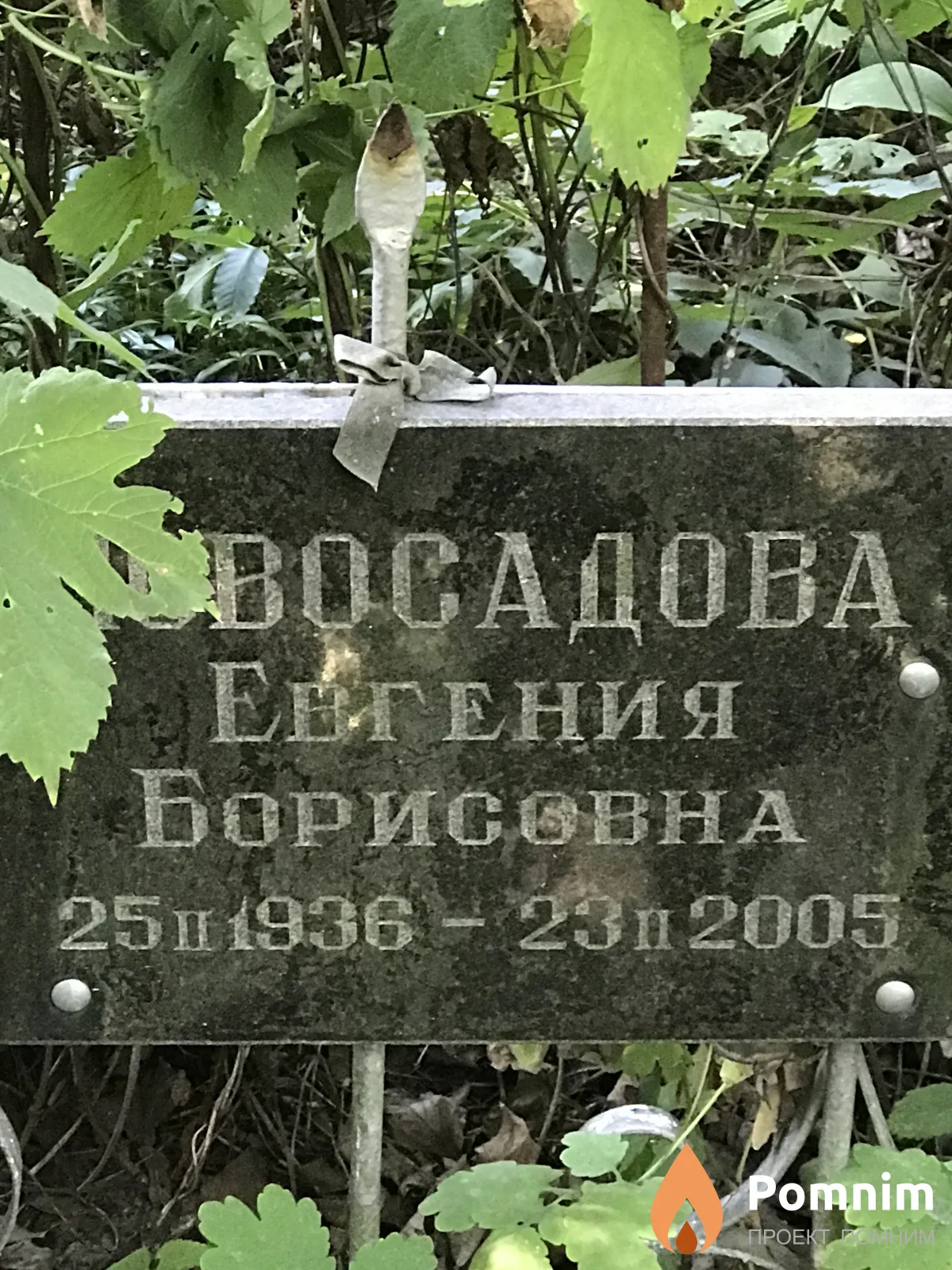Новосадова Евгения Борисовна