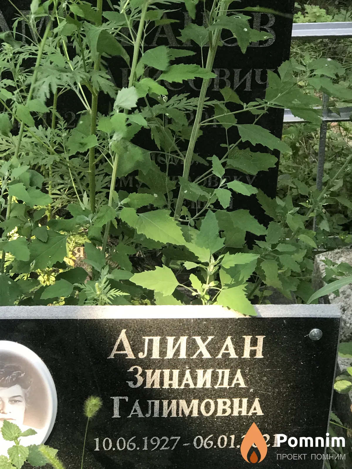 Алихан Зинаида Галимовна