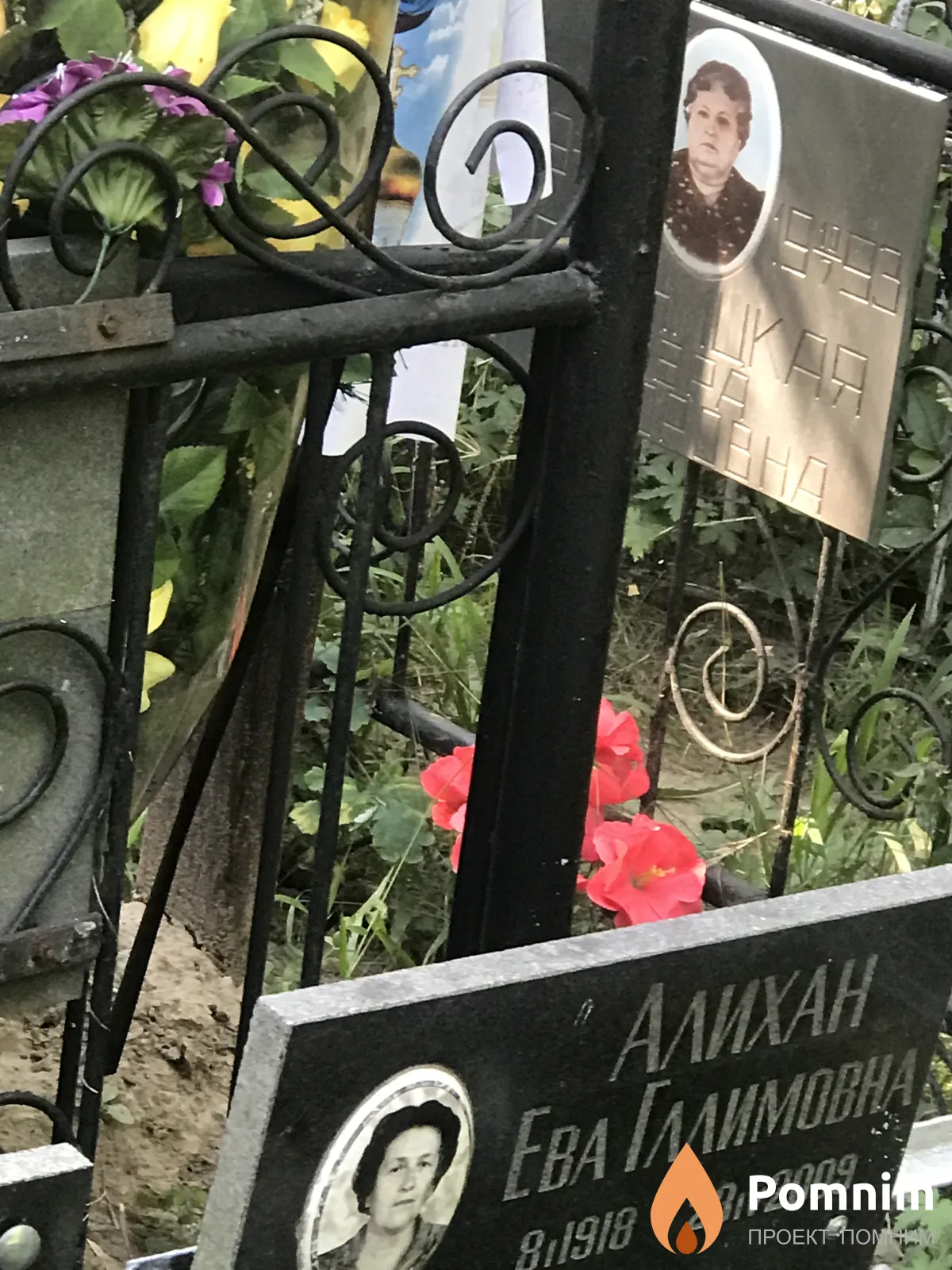 Алихан Ева Гллимовна