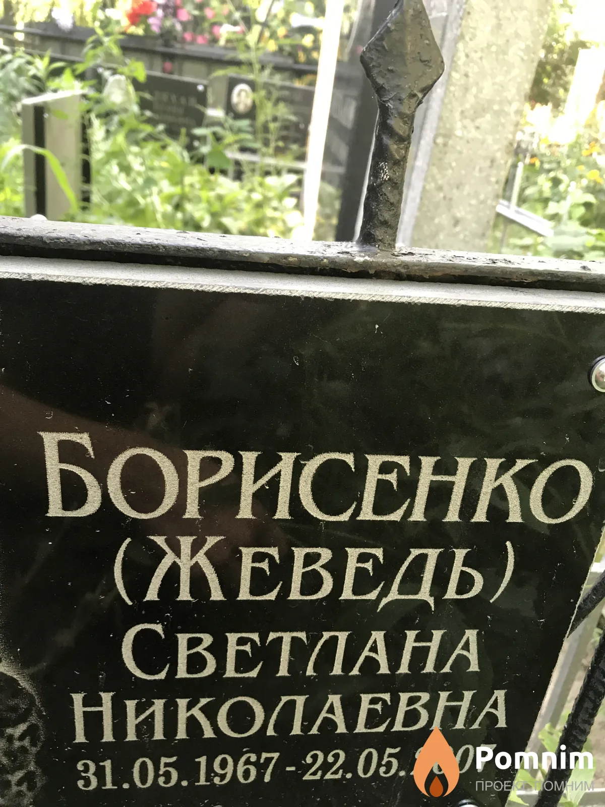 Борисенко Светлана Николавена