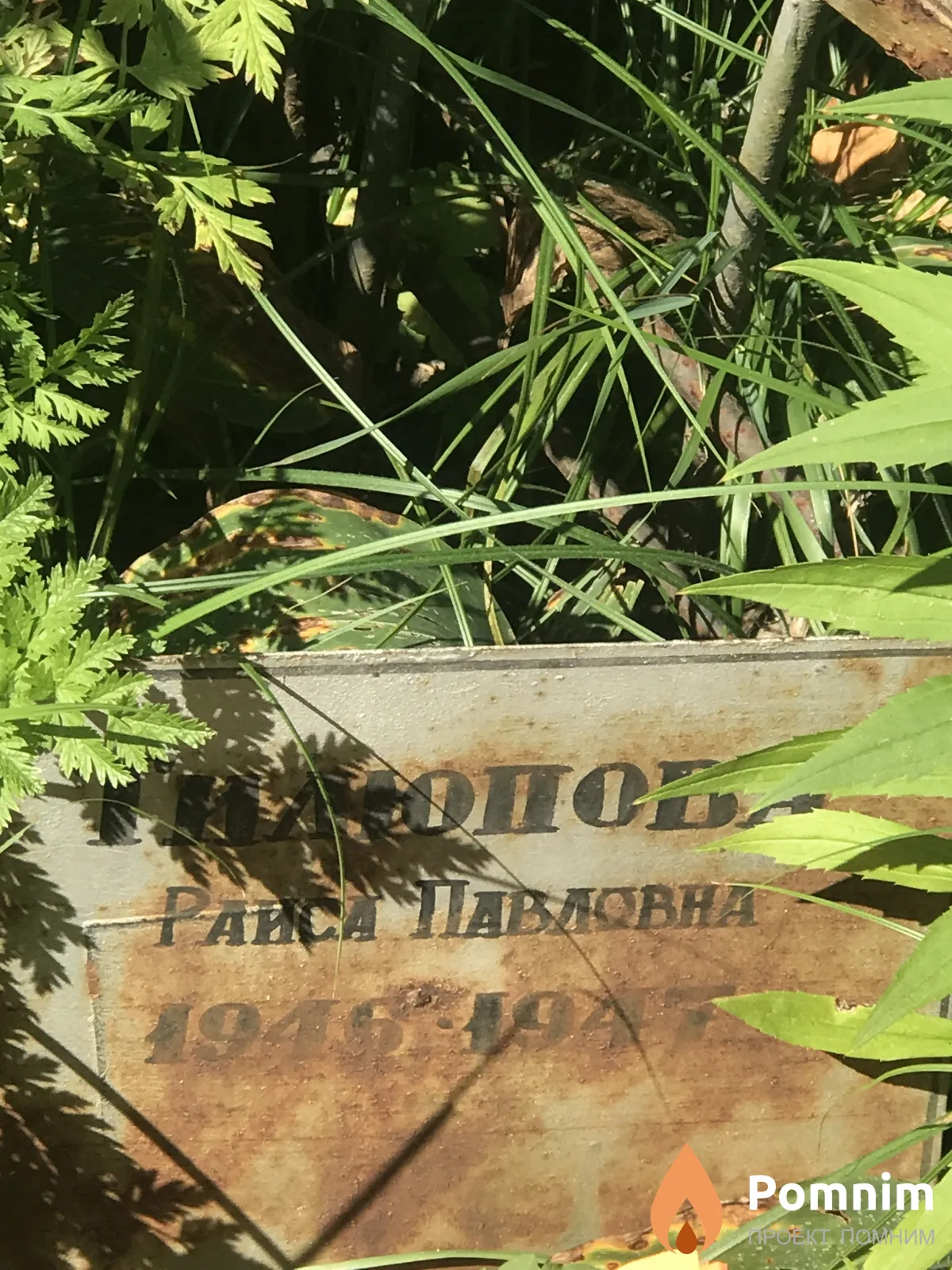 Тилюпова Раиса Павловна