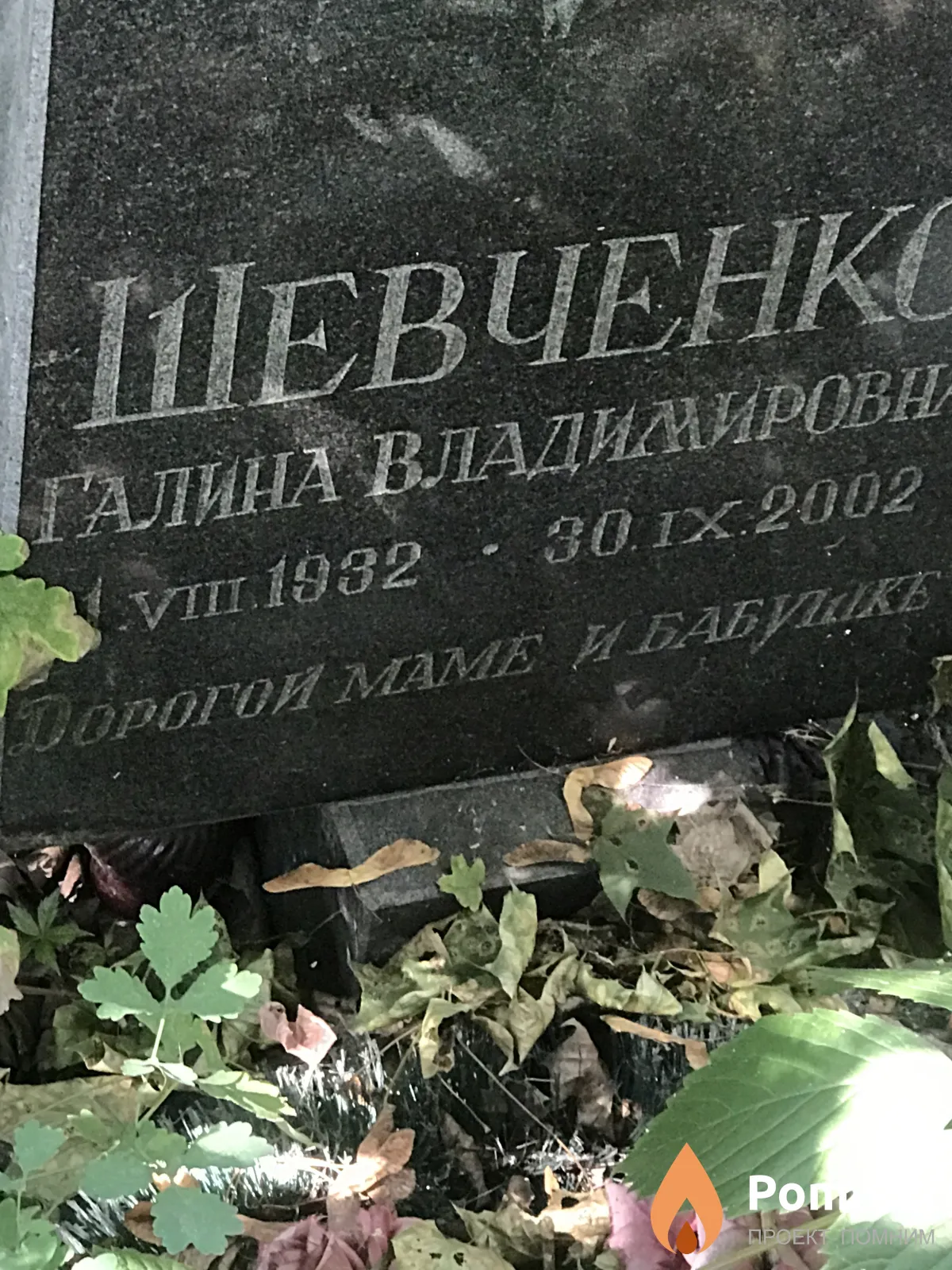 Шевченко Галина Владимировна