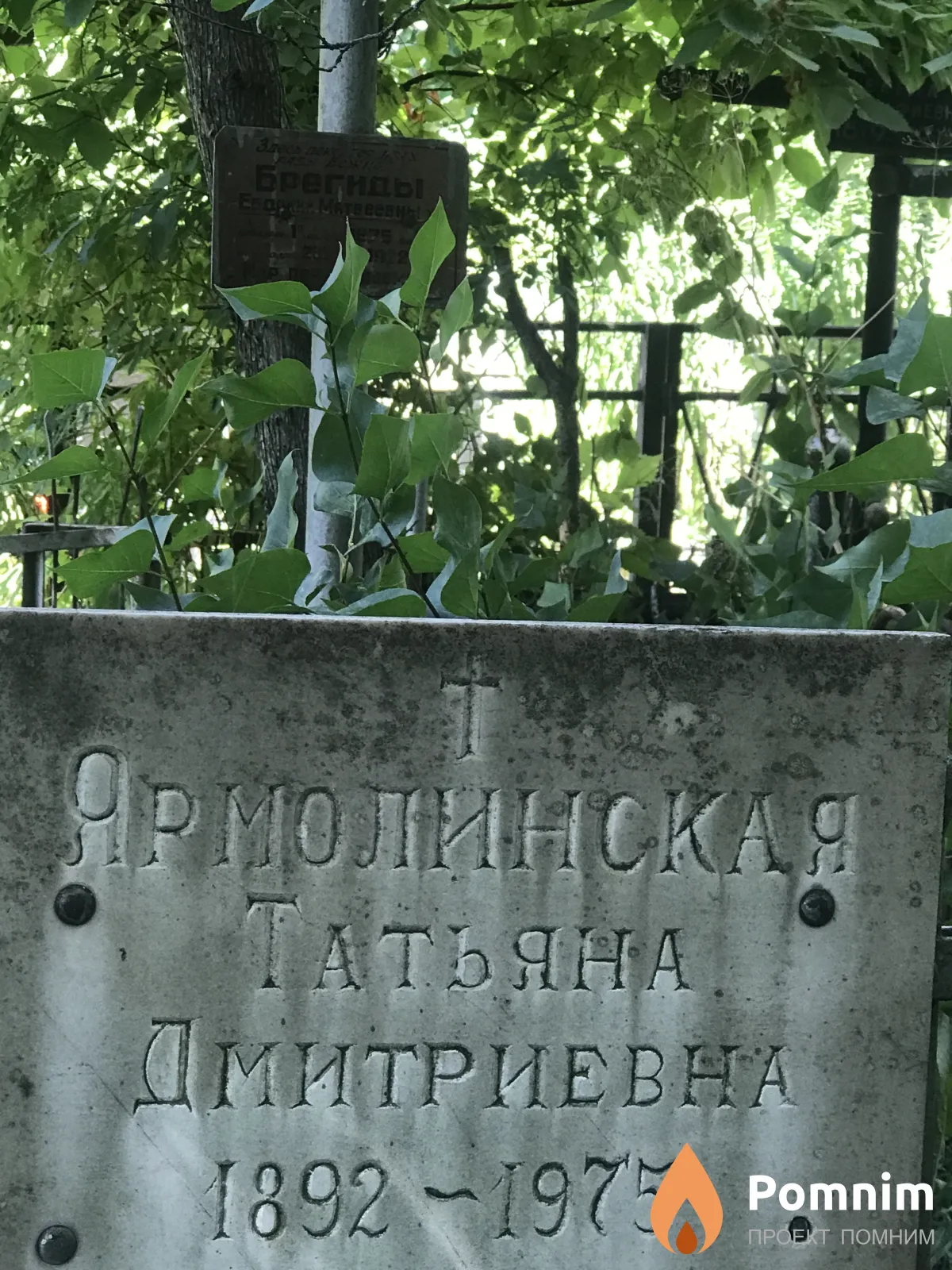 Ярмолинская Татьяна Дмитриевна