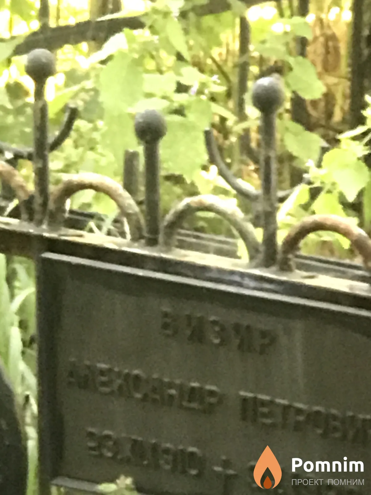Визир Александр Петрович