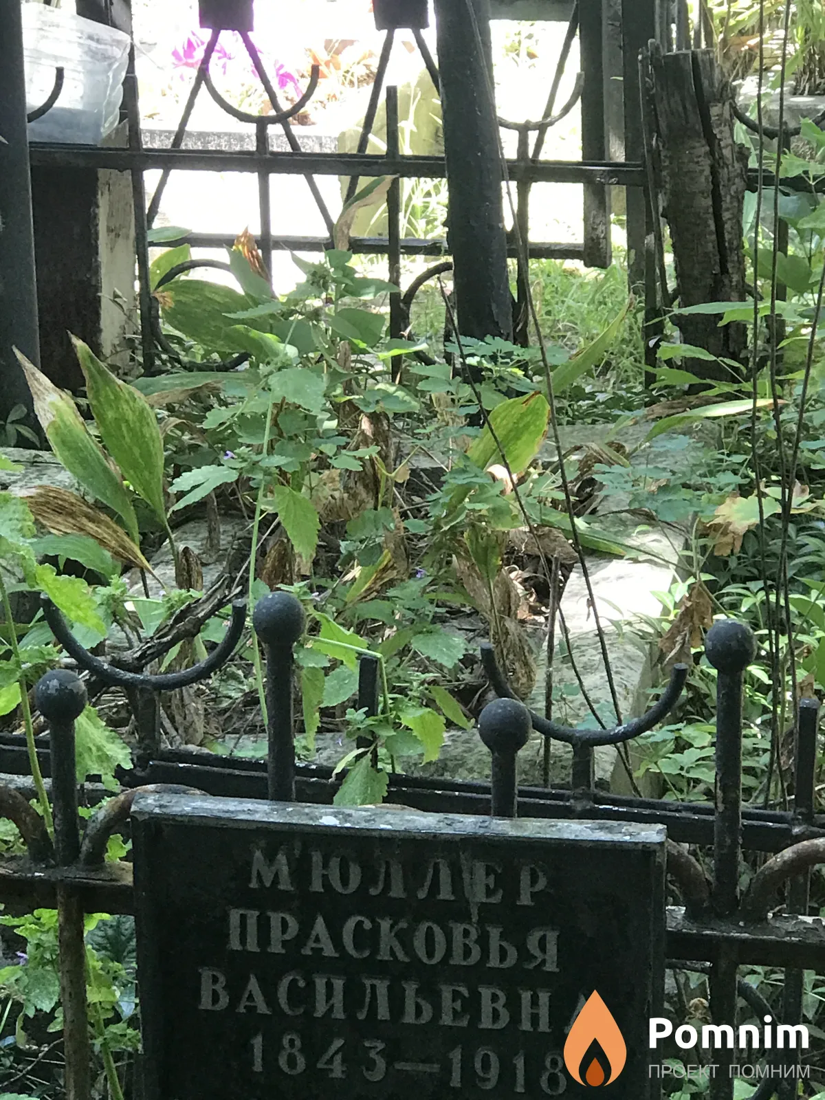Мюллер Прасковья Васильевна