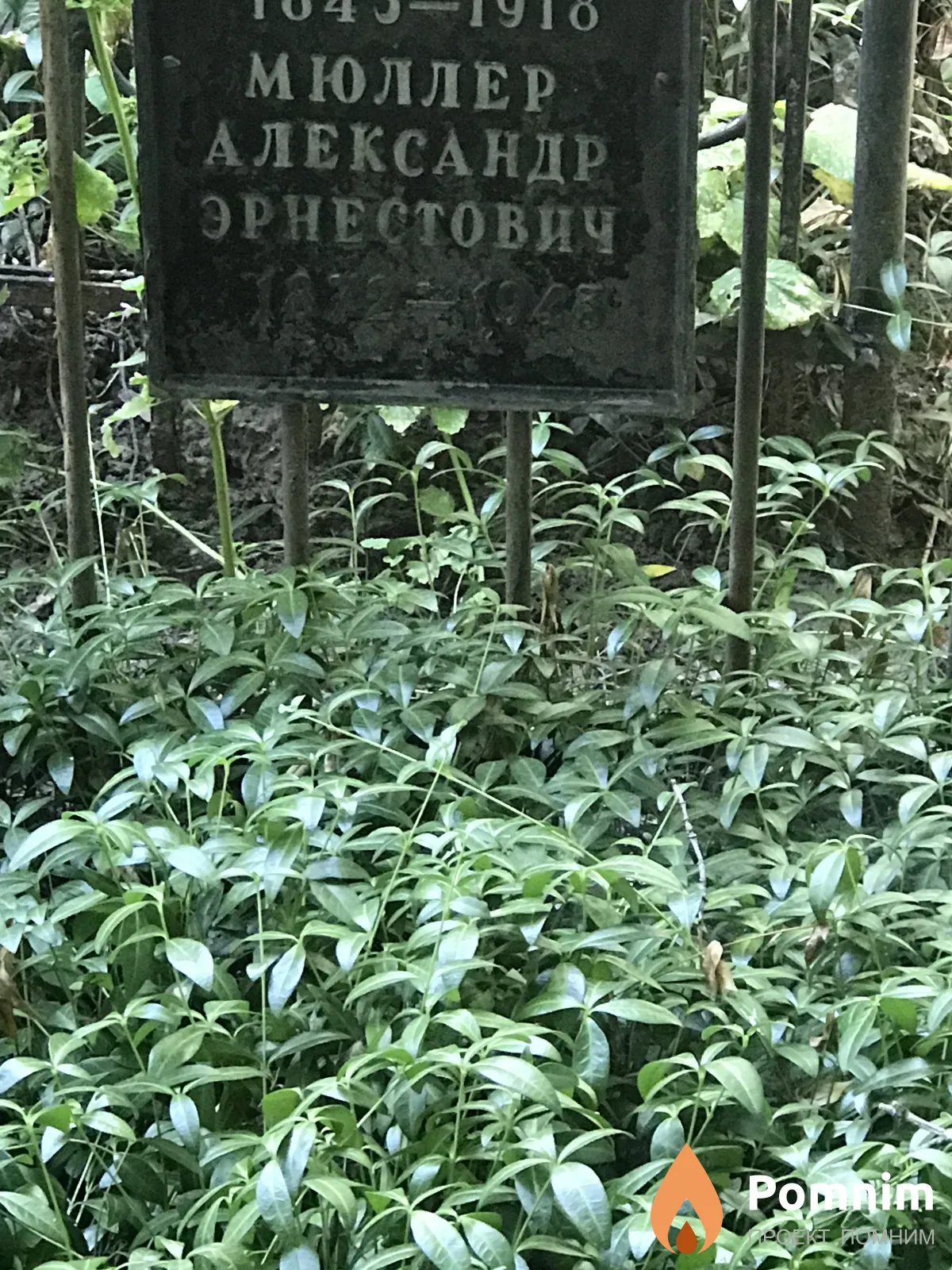 Мюллер Александр Эрнестович
