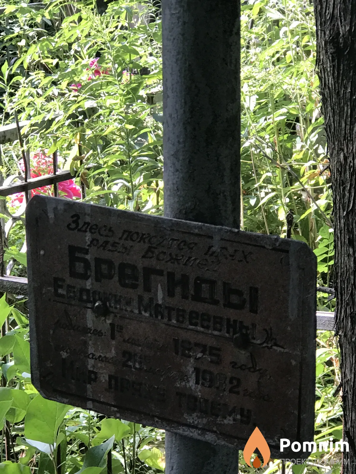 Брегида Евдокия Мотвеевна