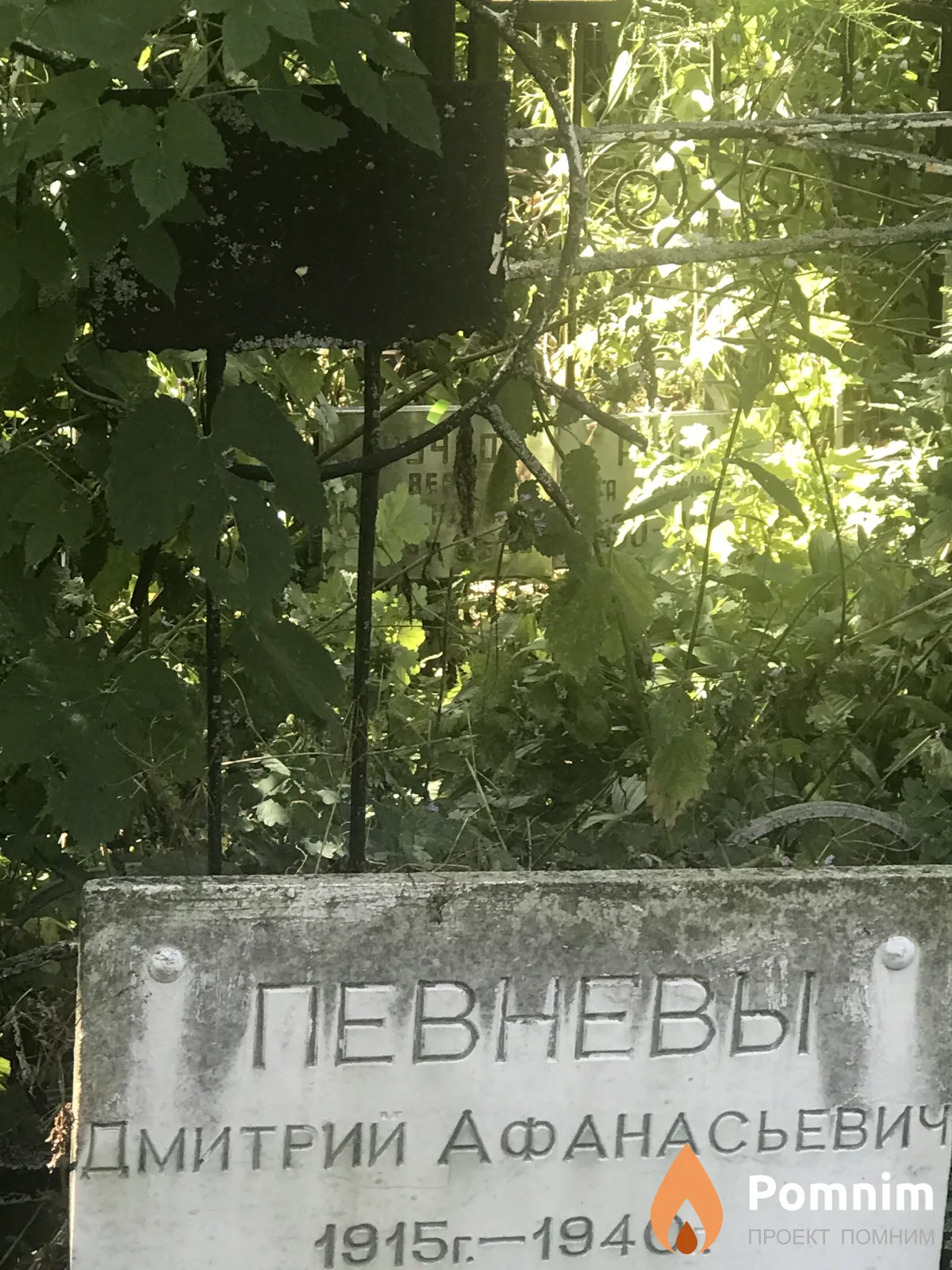 Певневы Дмитрий Афанасьевич