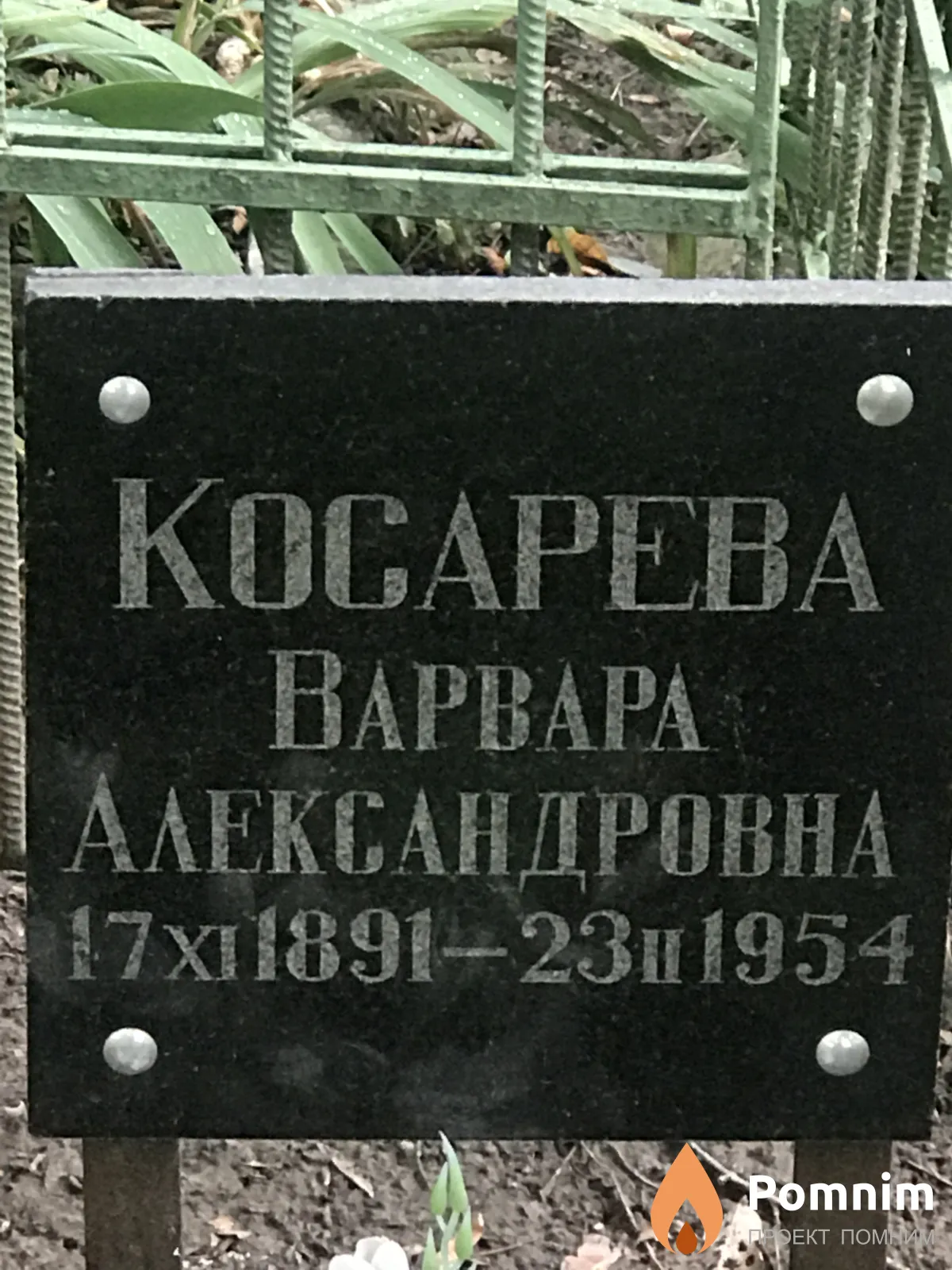 Косарева Варвара Александровна